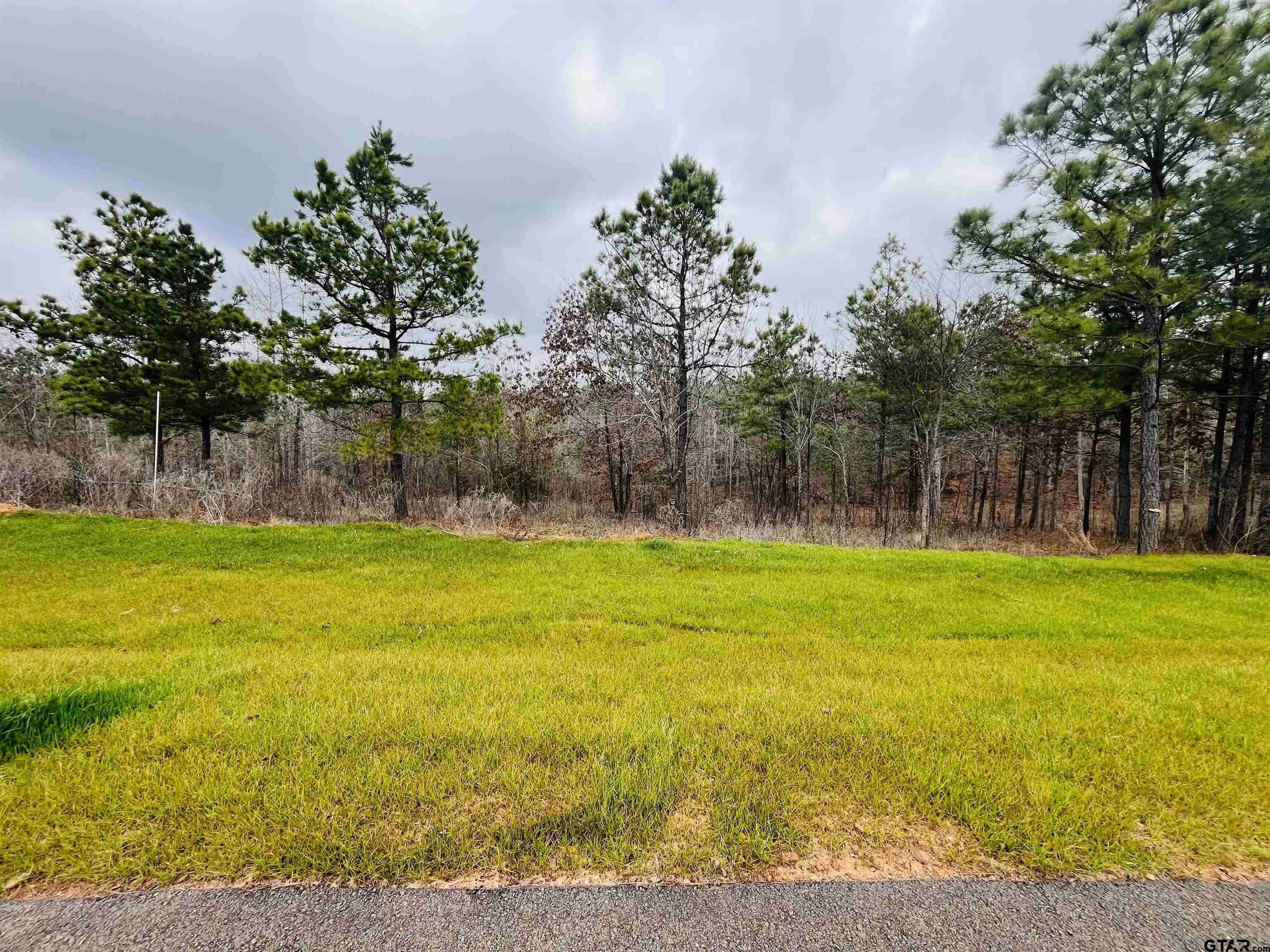 Winona, TX 75792,16144 W Valley View Court