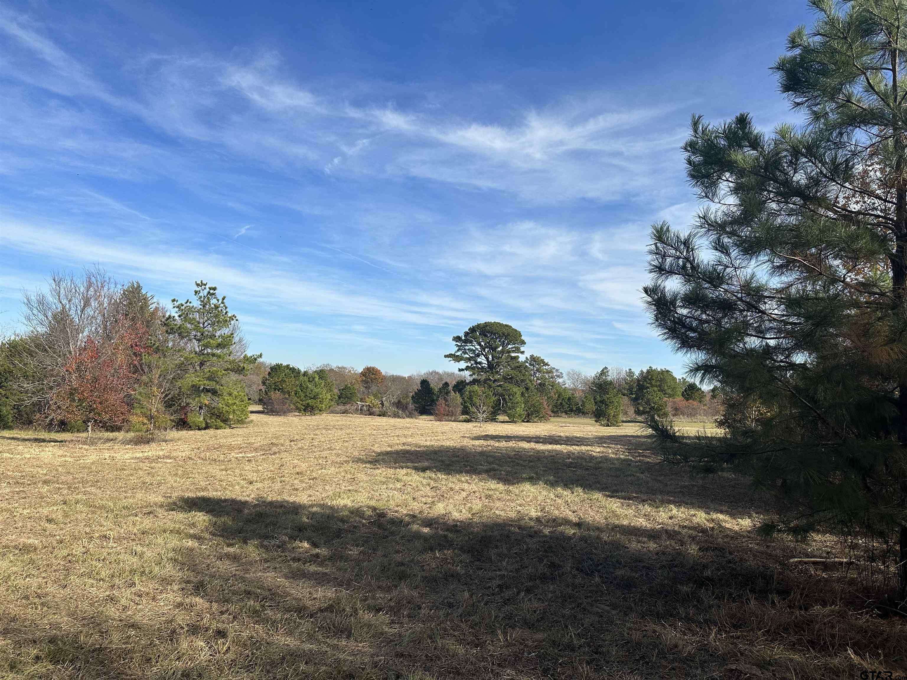 Tyler, TX 75704,3491 CR 415
