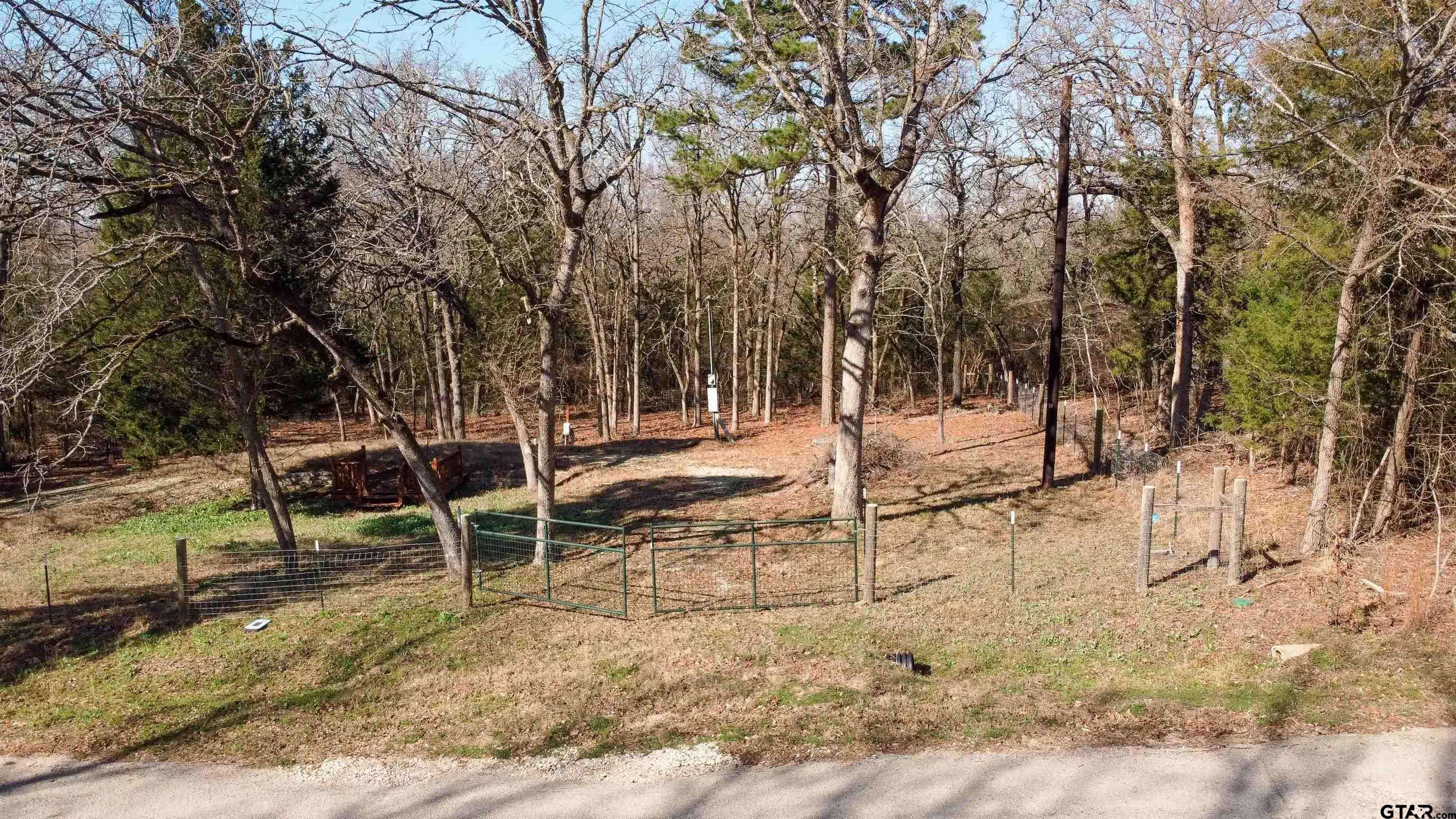 Murchison, TX 75778,407 and 411 Long Shadow