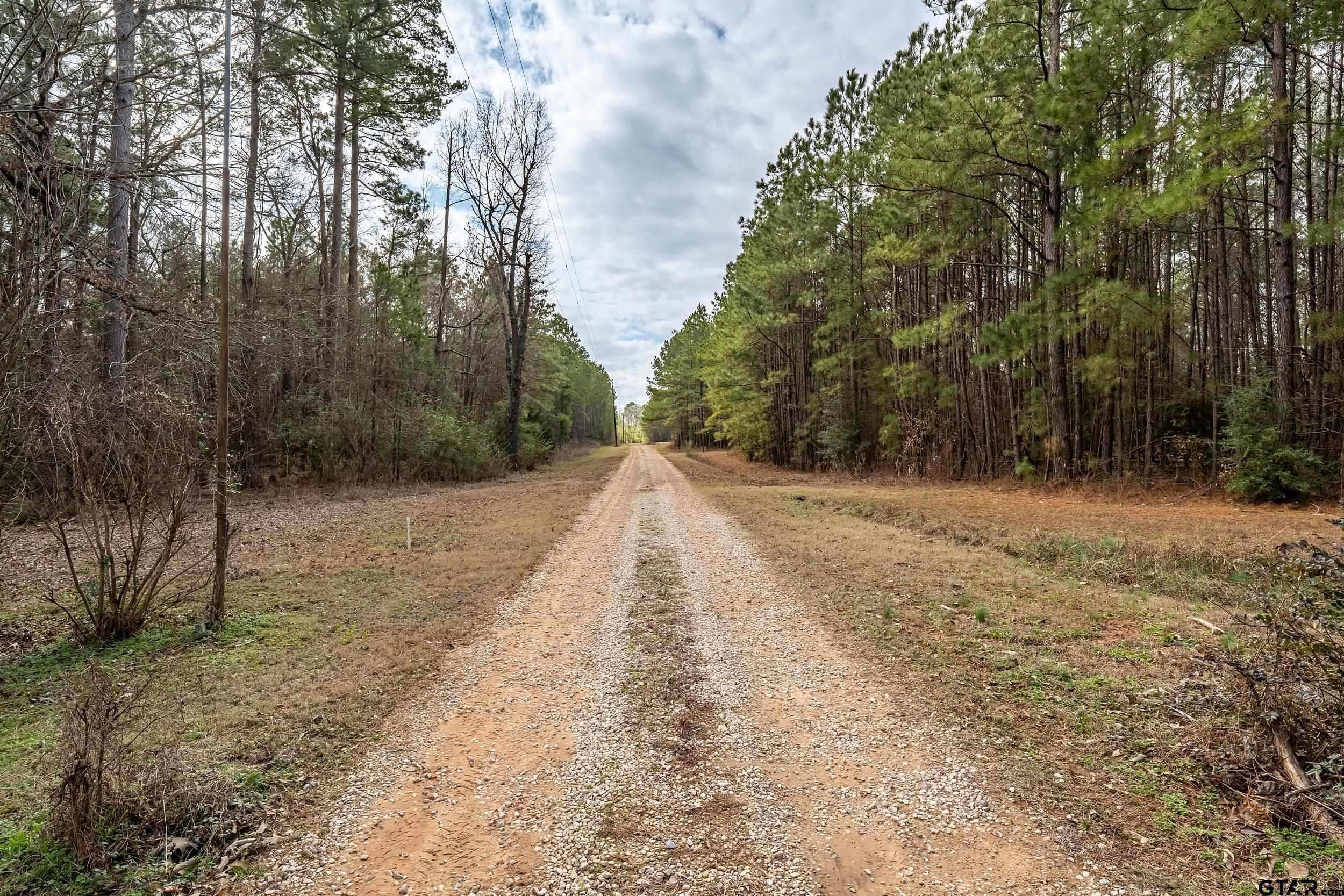 Whitehouse, TX 75791,11631 Moser Ln.