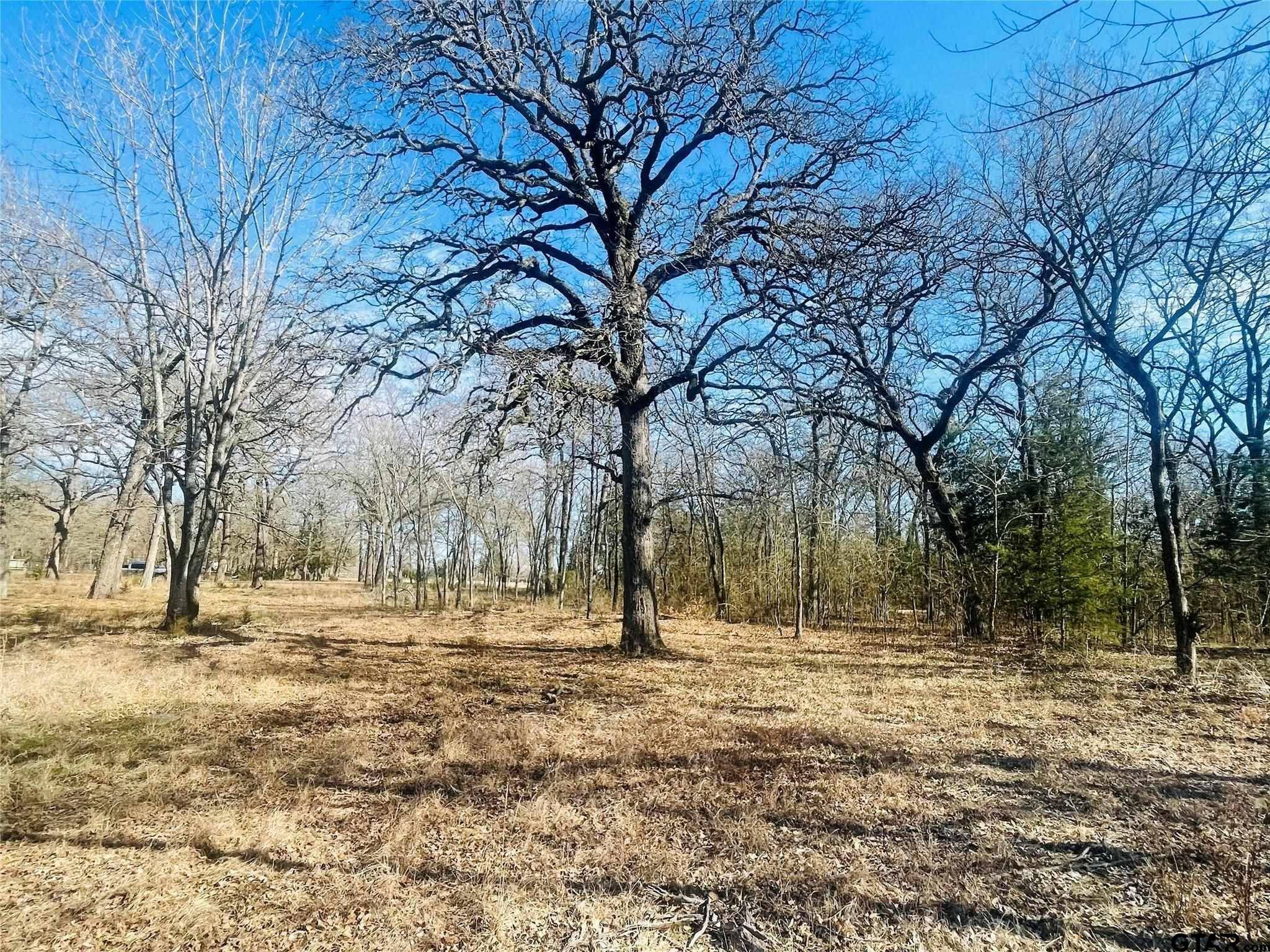 Cumby, TX 75433,5 Acres County Road 1216