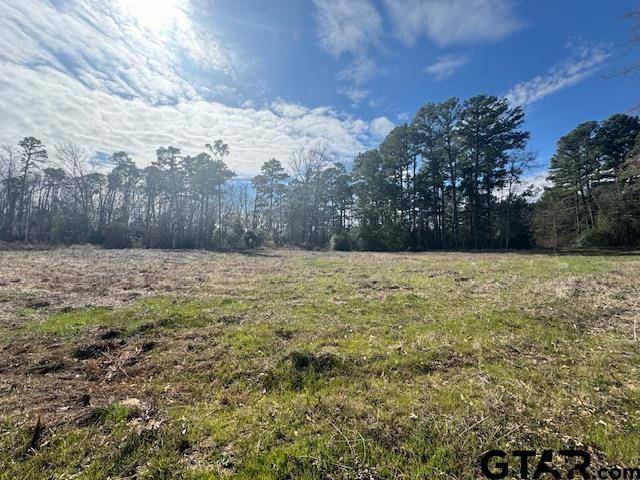 Arp, TX 75750,TBD CR 224 LOT 5