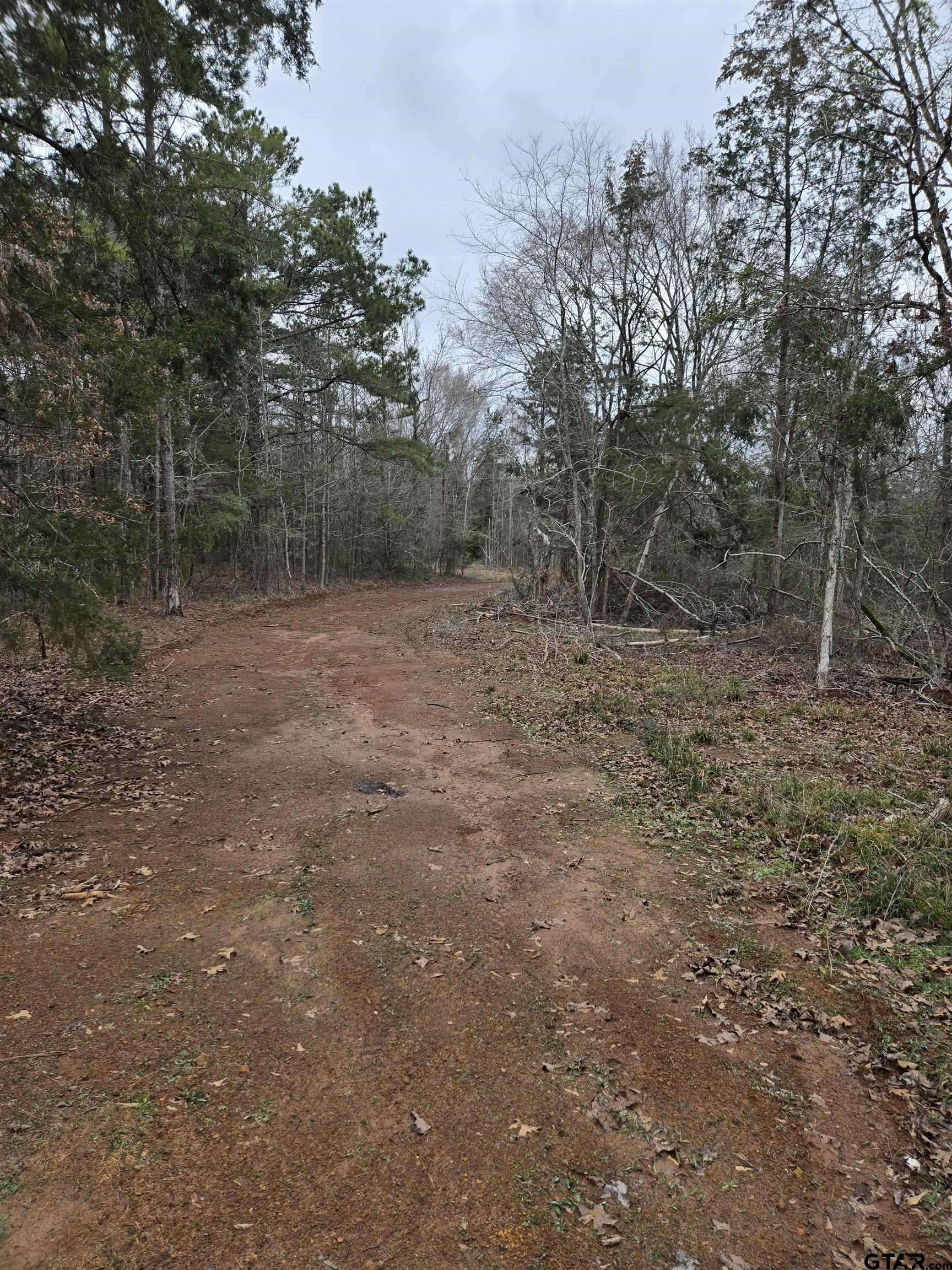 Laneville, TX 75667,0000 CR 3206 (23.91Acres)