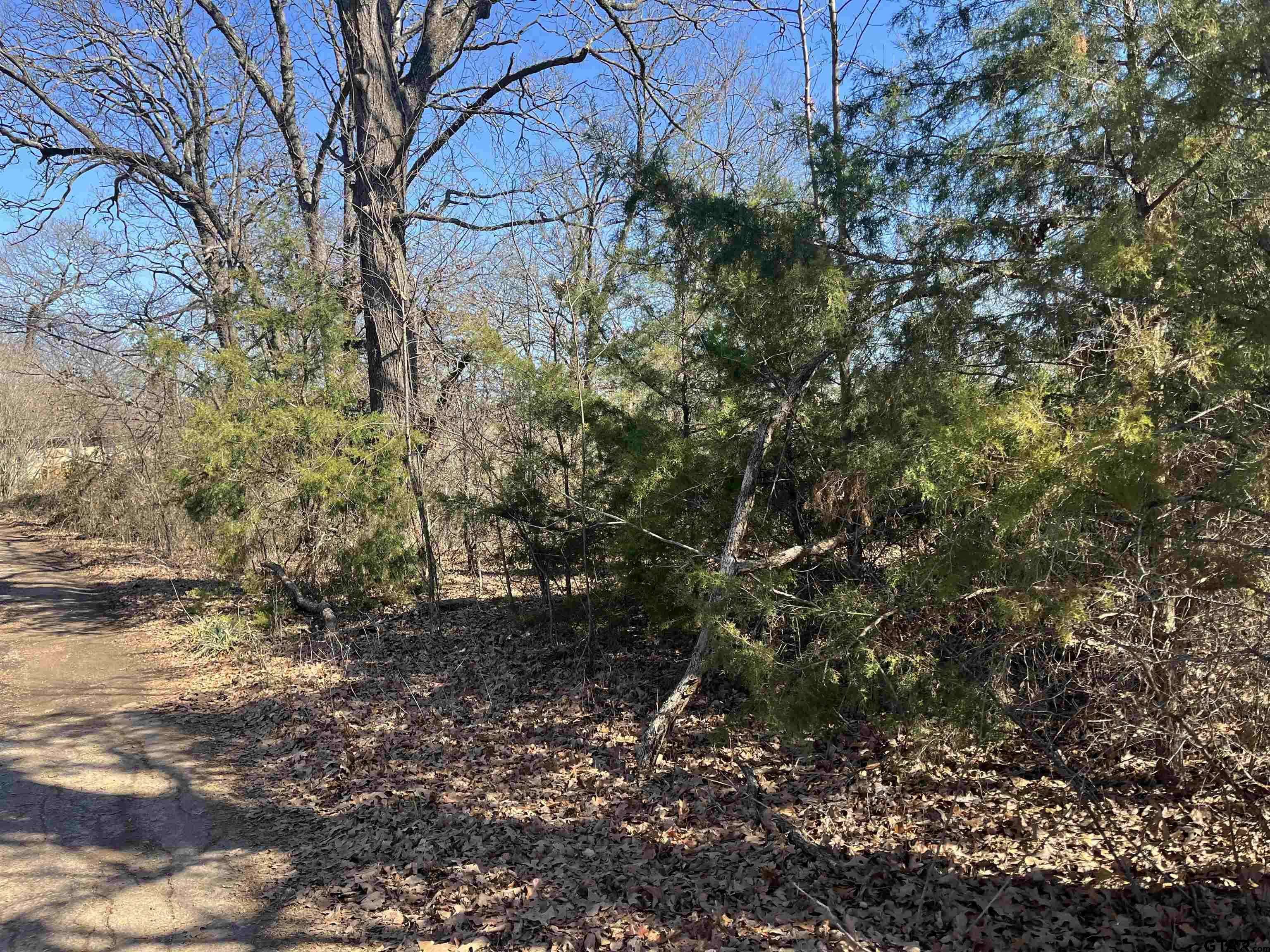 Mt Pleasant, TX 75455,000 W Ferguson