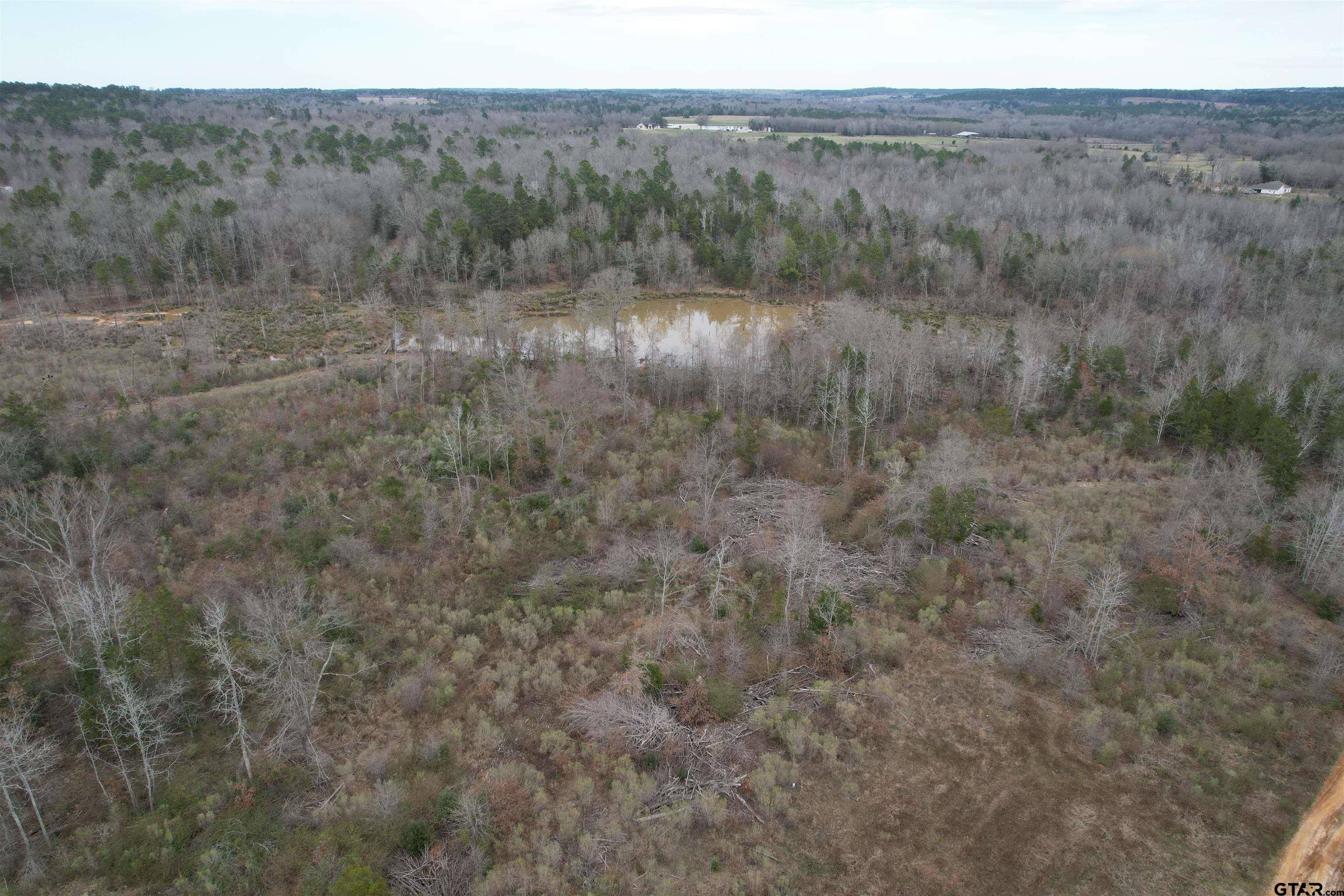 Laneville, TX 75667,TBD County Road 378
