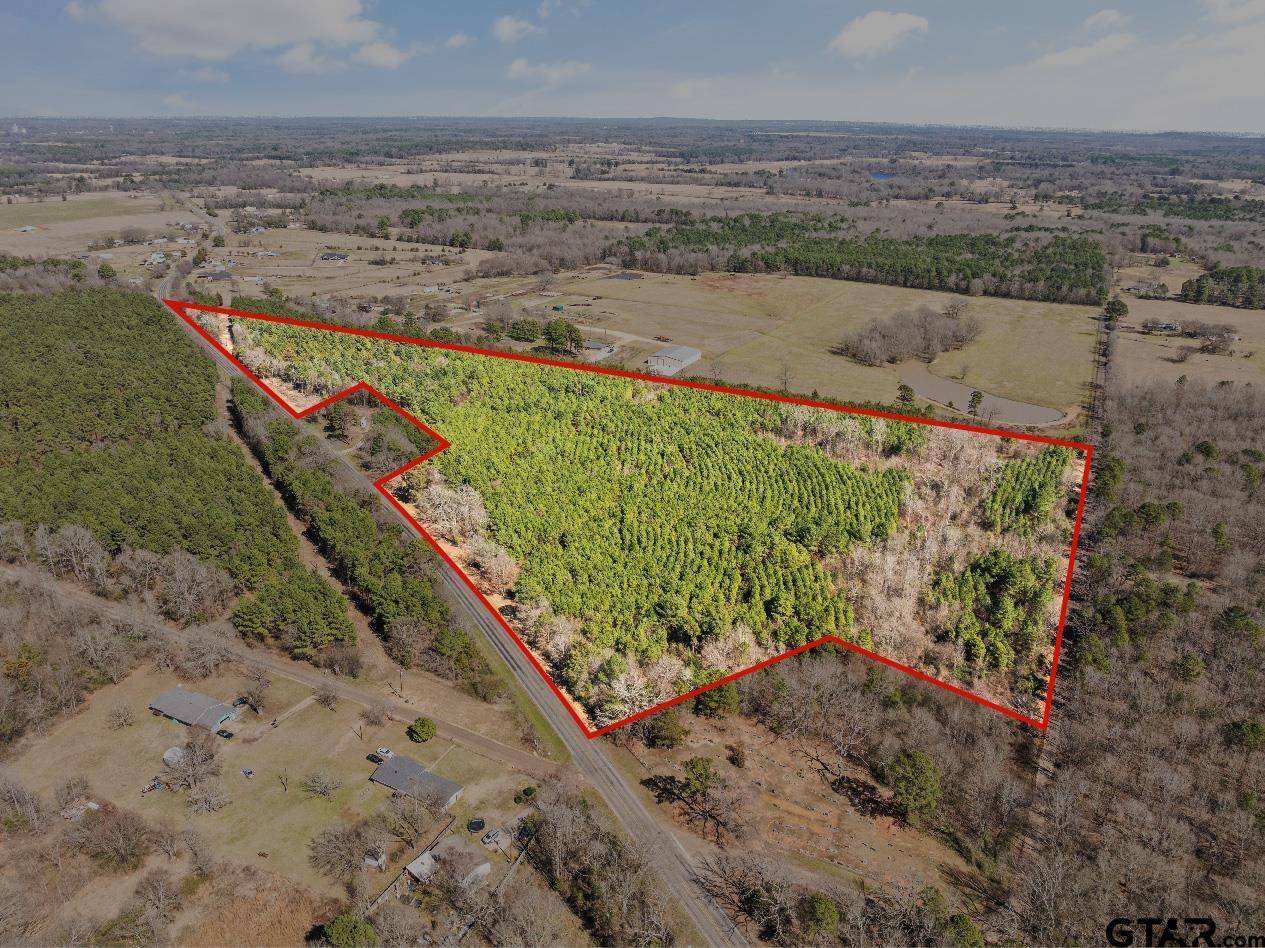 Pittsburg, TX 75686,Lot 4 FM 556