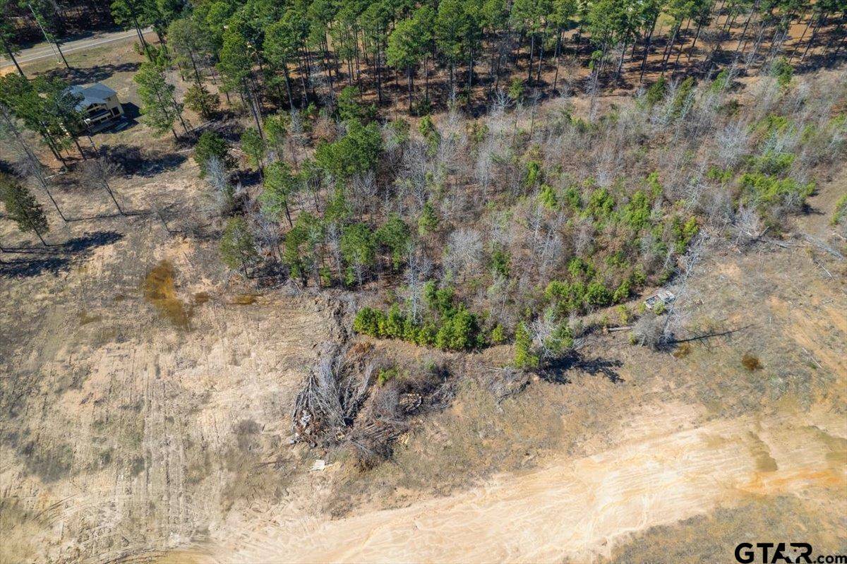 Pittsburg, TX 75686,Lot 2 Piney Ln.