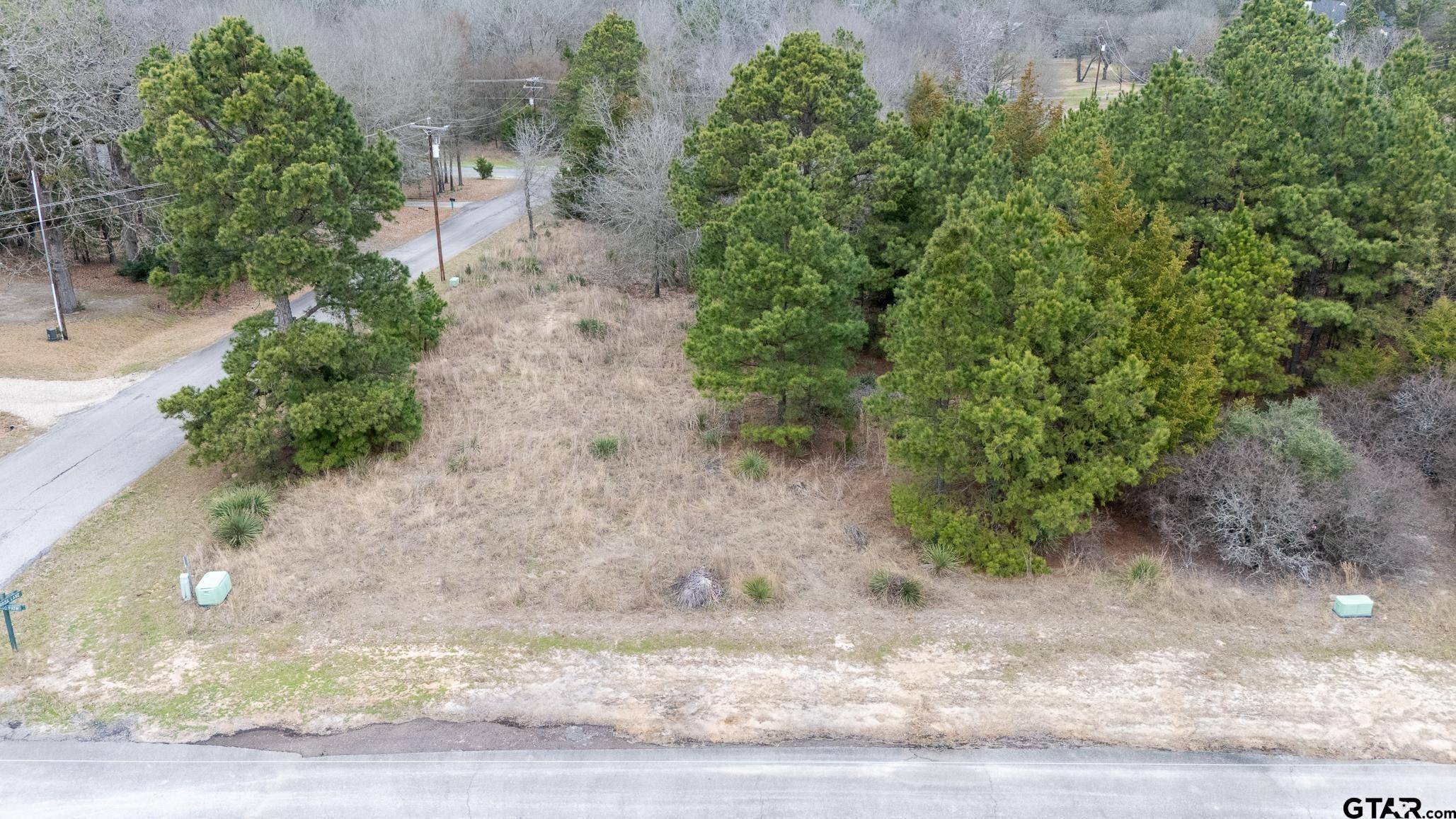 Holly Lake Ranch, TX 75765,LOT 65 Durango Path