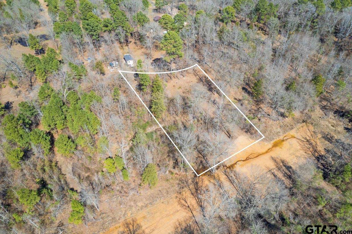 Pittsburg, TX 75686,Lot 9 Piney Ln.