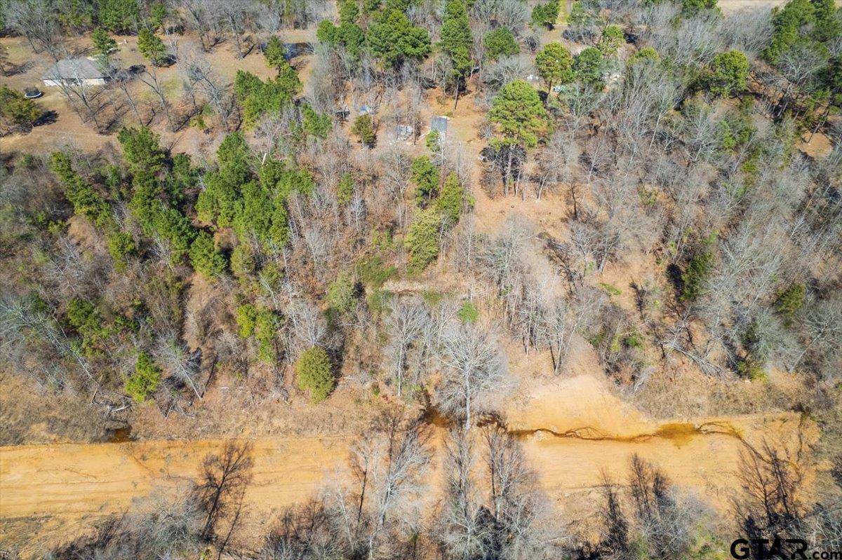 Pittsburg, TX 75686,Lot 9 Piney Ln.