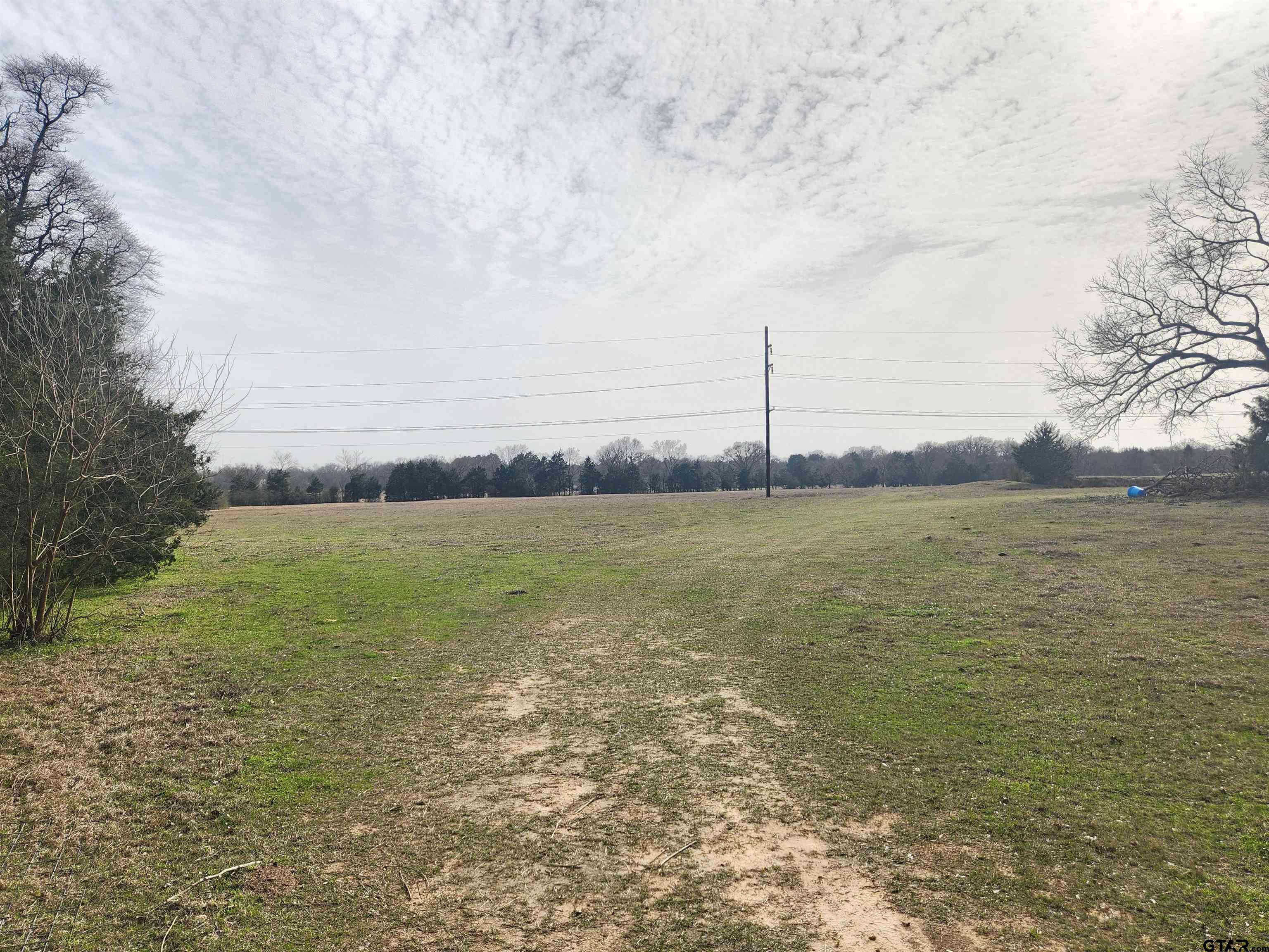 Mineola, TX 75773,TBD Walnut St