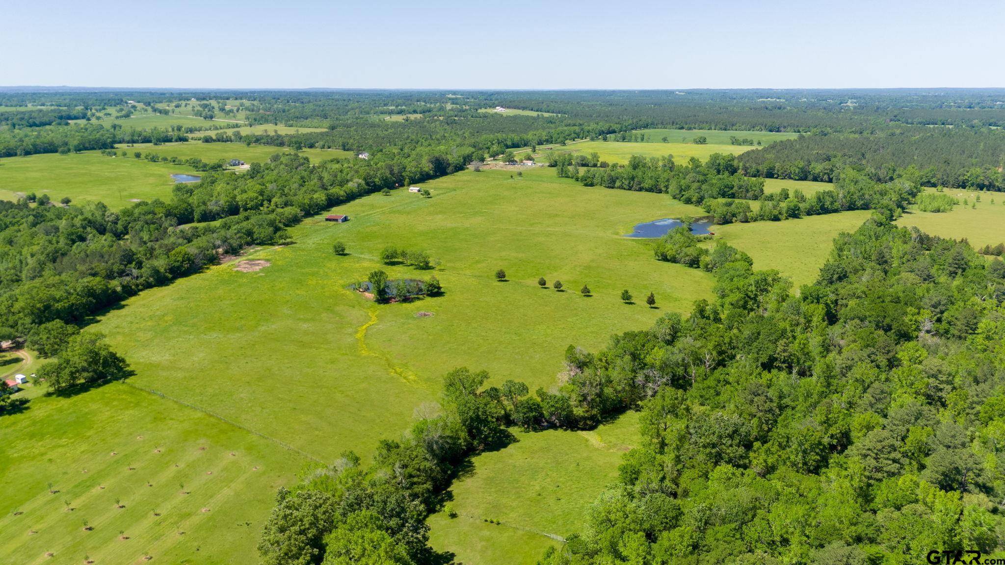 Troup, TX 75789,TBD 11.17 acres FM 856
