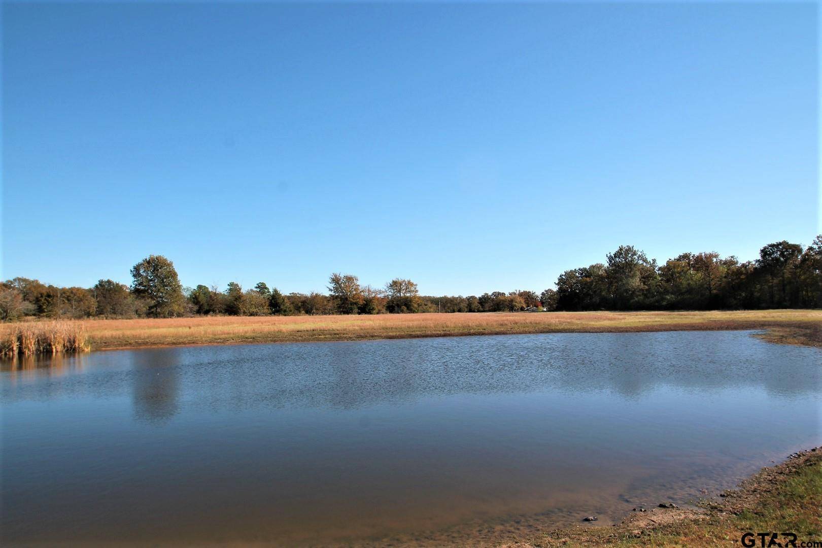 Yantis, TX 75497,LOT 10 PR 5291