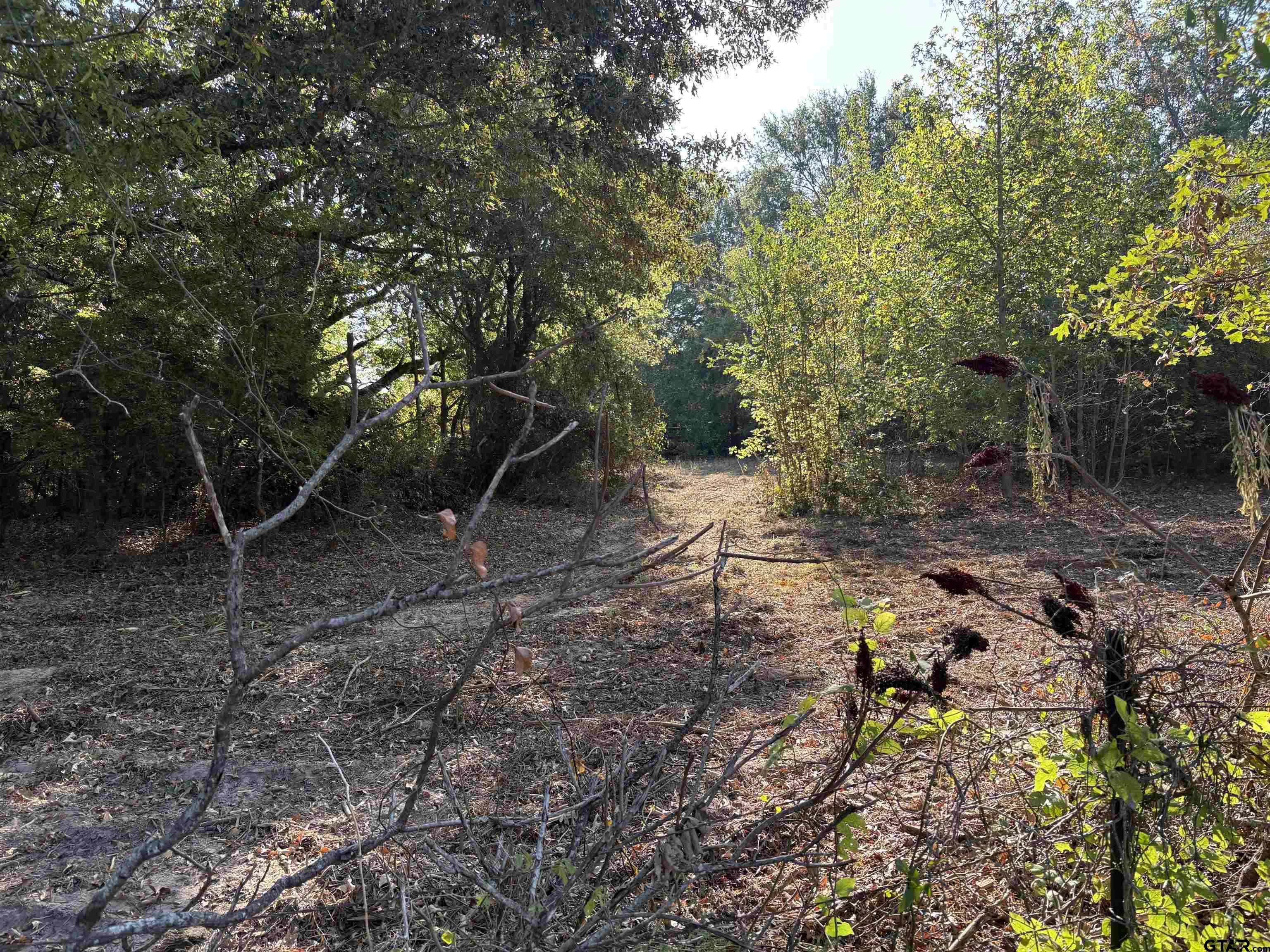Brownsboro, TX 75756,TBD FM 607