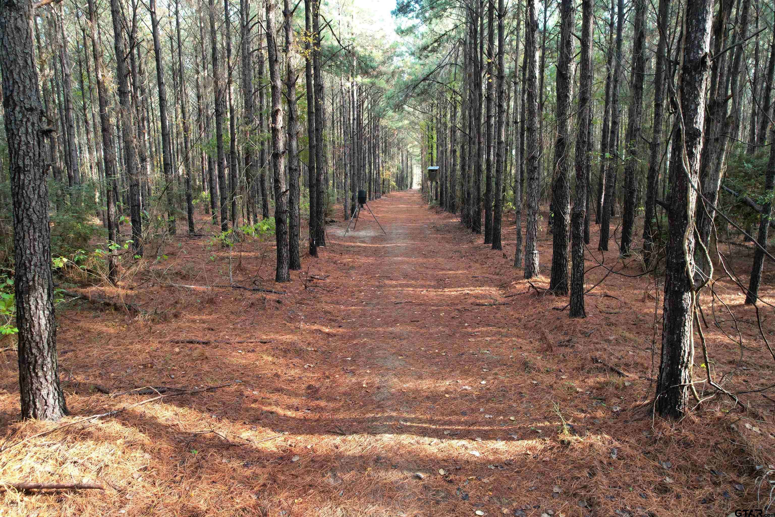 Lovelady, TX 75851,350 Williamson Way