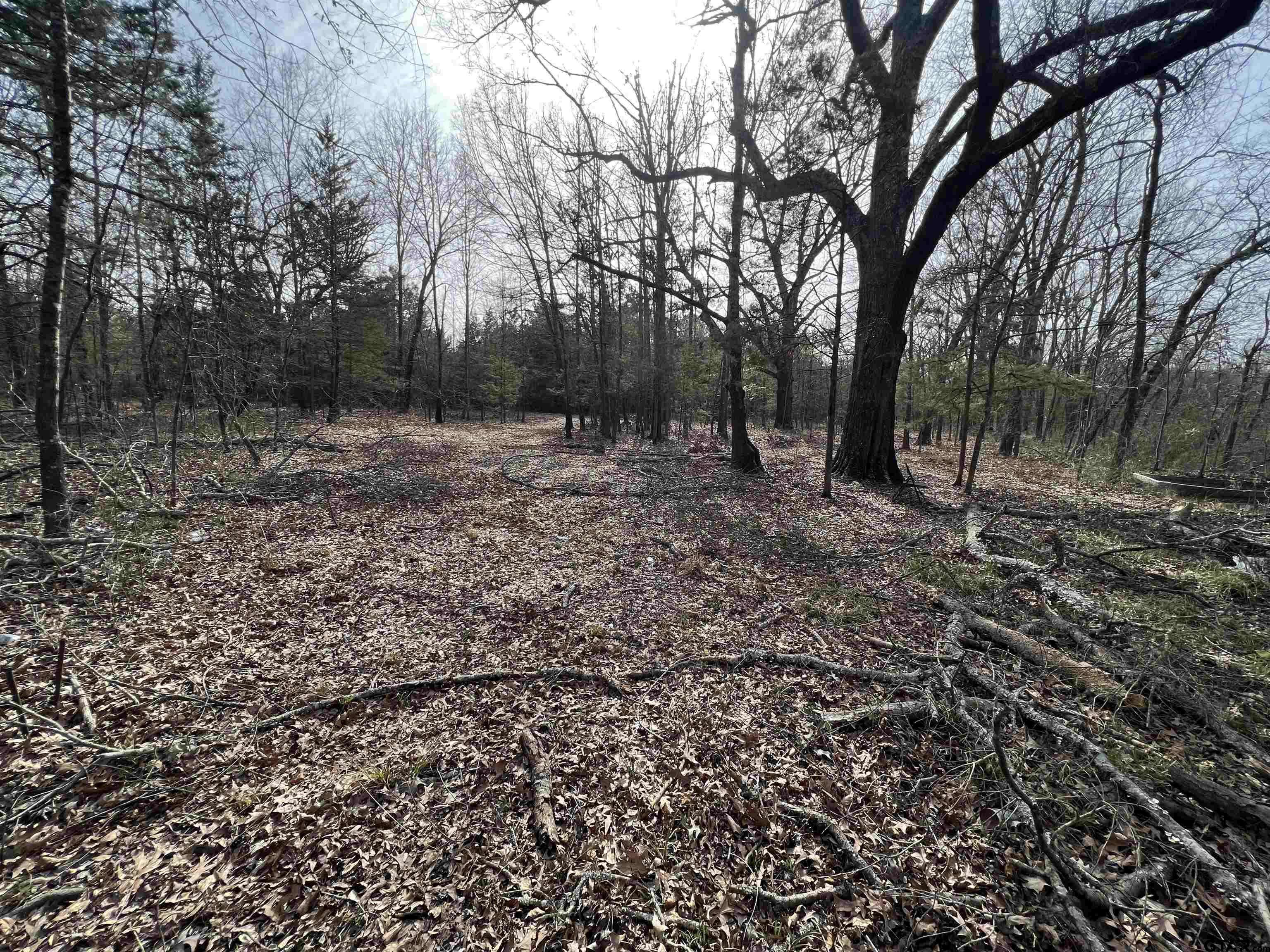 Omaha, TX 75571,Tract 2 Lone Star Road