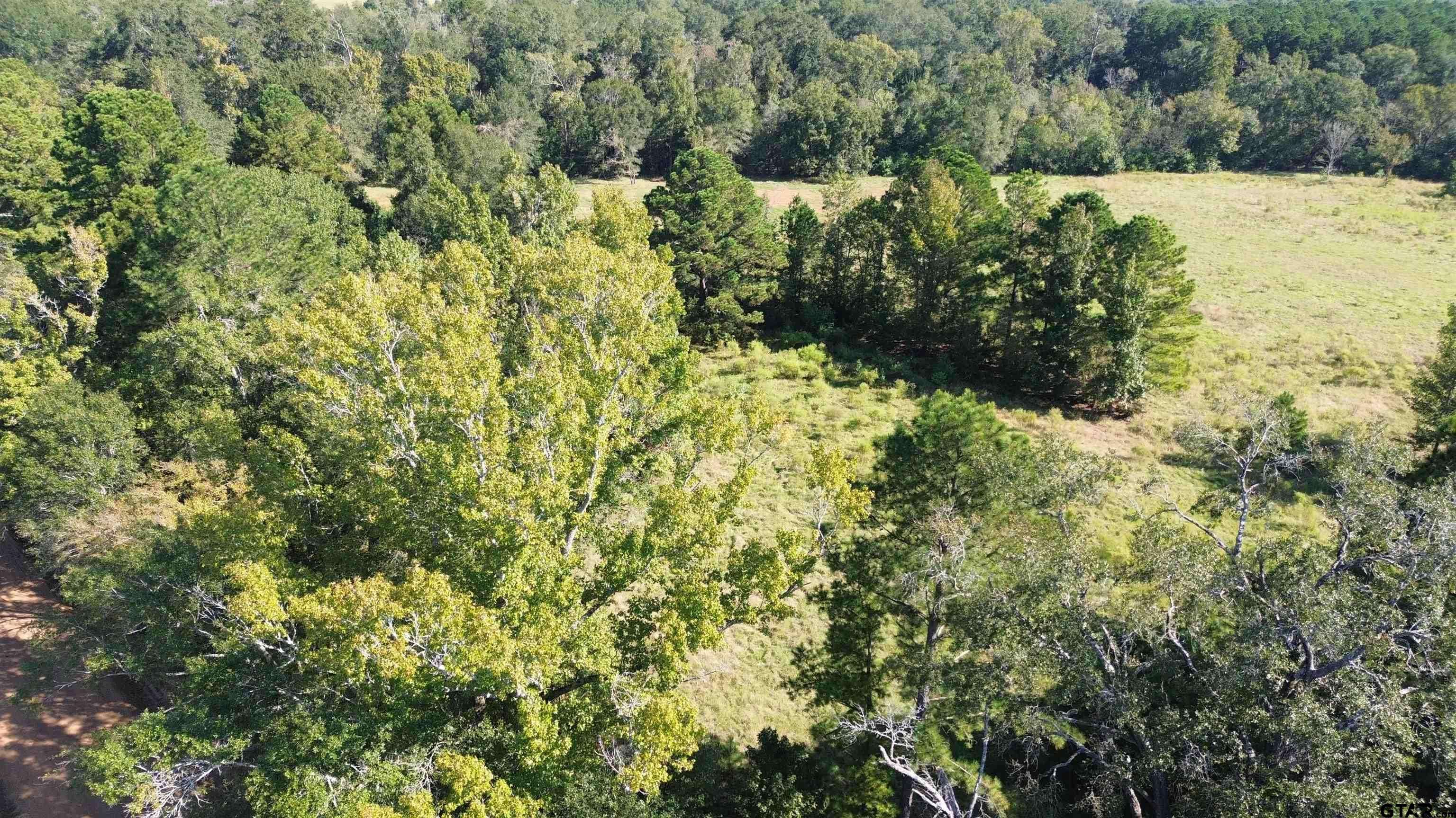 Crockett, TX 75835,TBD CR 2120