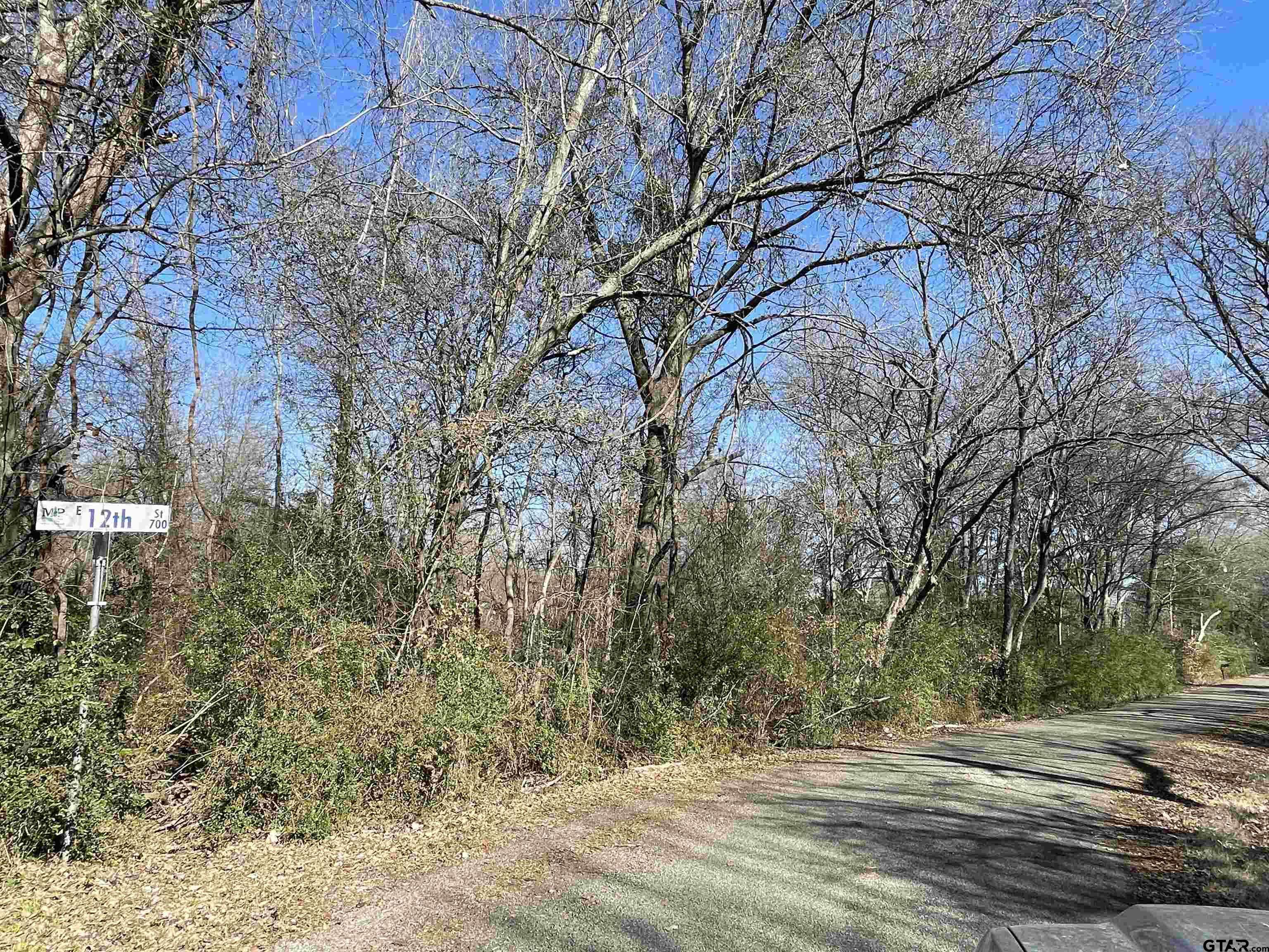 Mt Pleasant, TX 75455,tbd E 12th