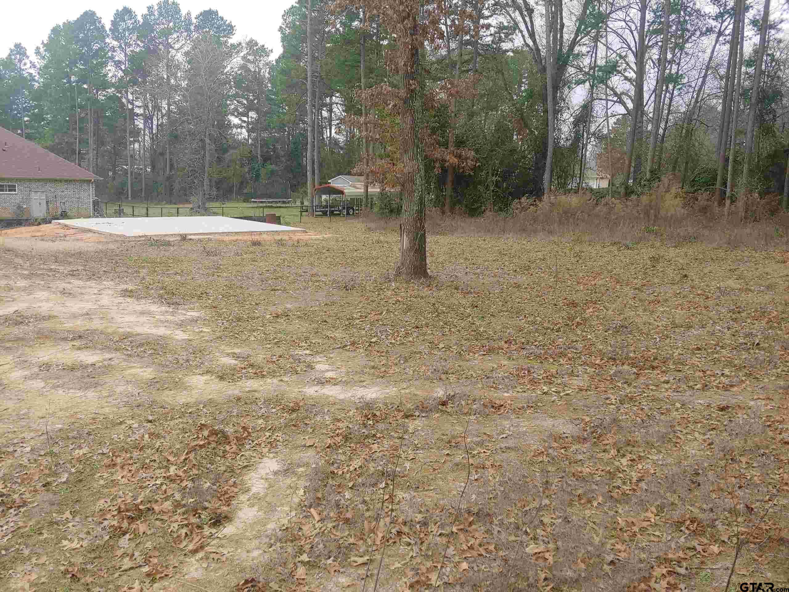 Big Sandy, TX 75755,209 PEACHTREE LN