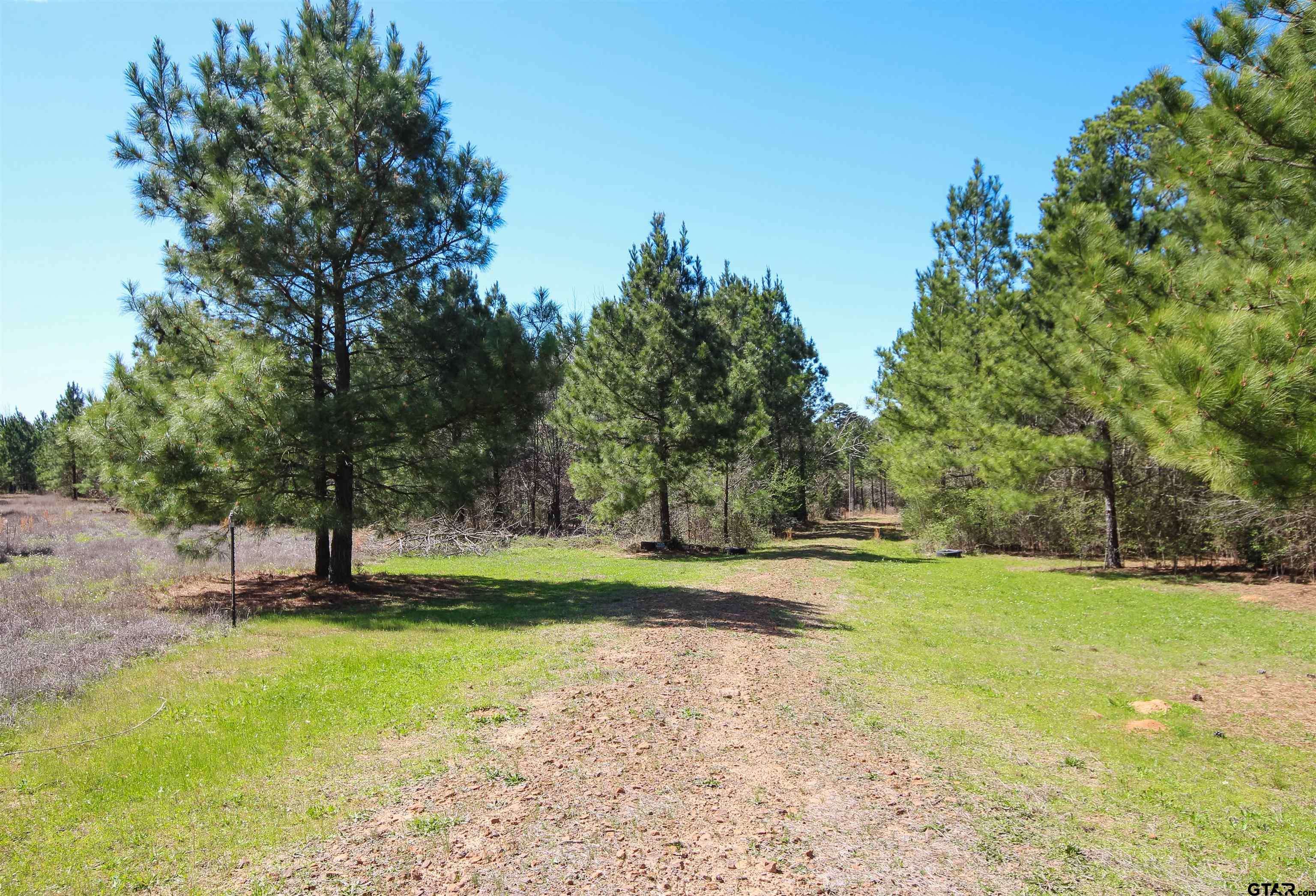 Big Sandy, TX 75755,7104 Pin Oak Rd