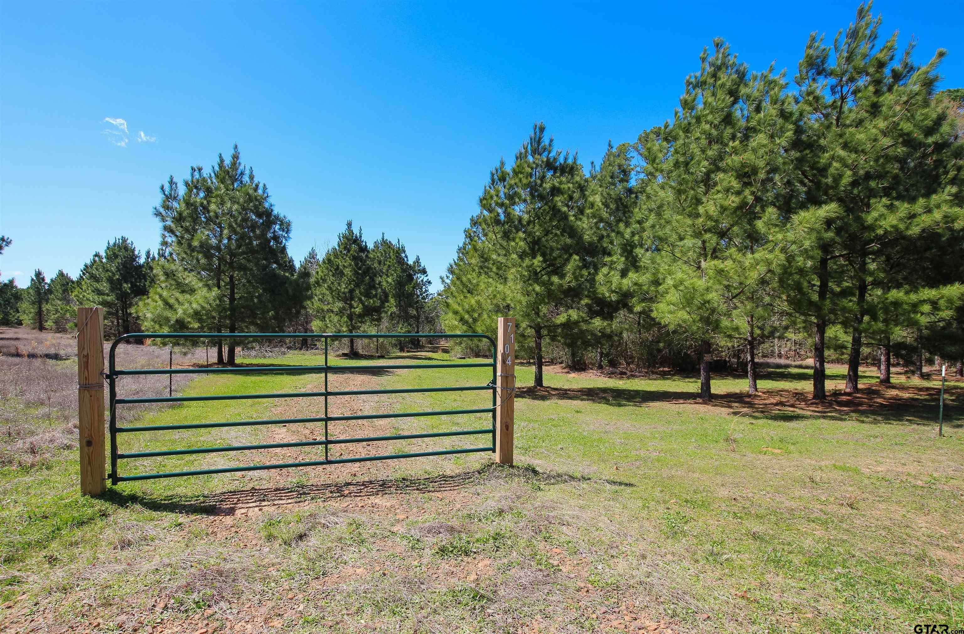 Big Sandy, TX 75755,7104 Pin Oak Rd