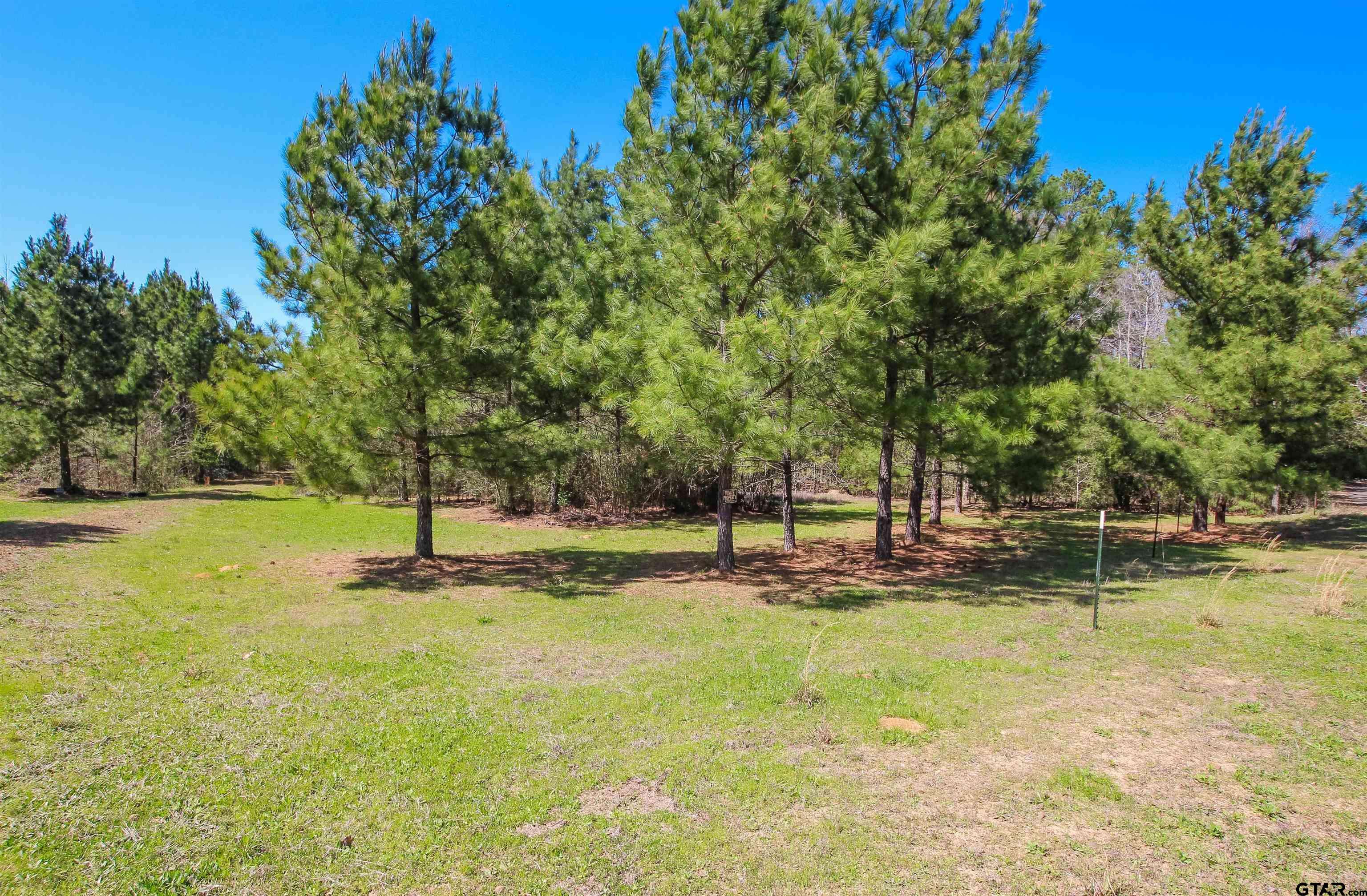 Big Sandy, TX 75755,7104 Pin Oak Rd