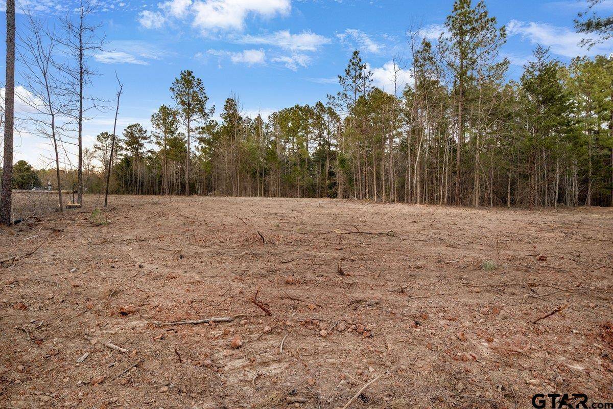 Troup, TX 75789,19210 County Road 2154 Lot 3