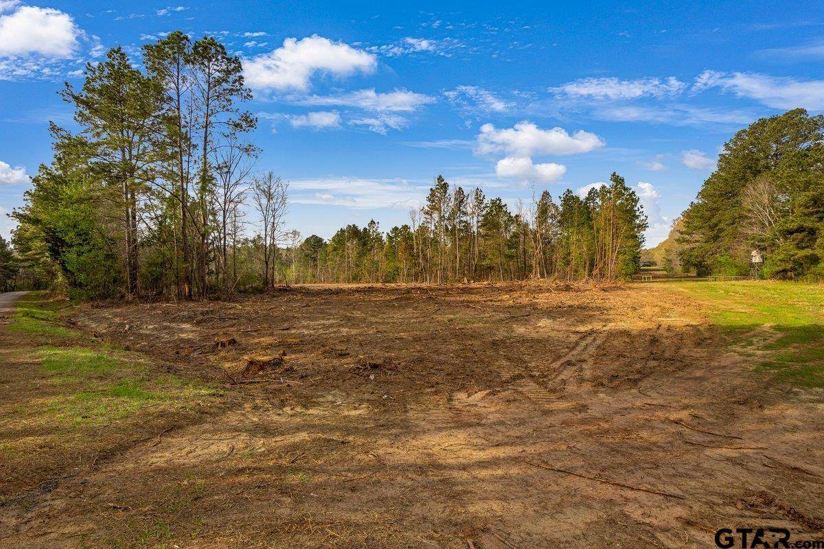 Troup, TX 75789,19140 County Road 2154 Lot 5