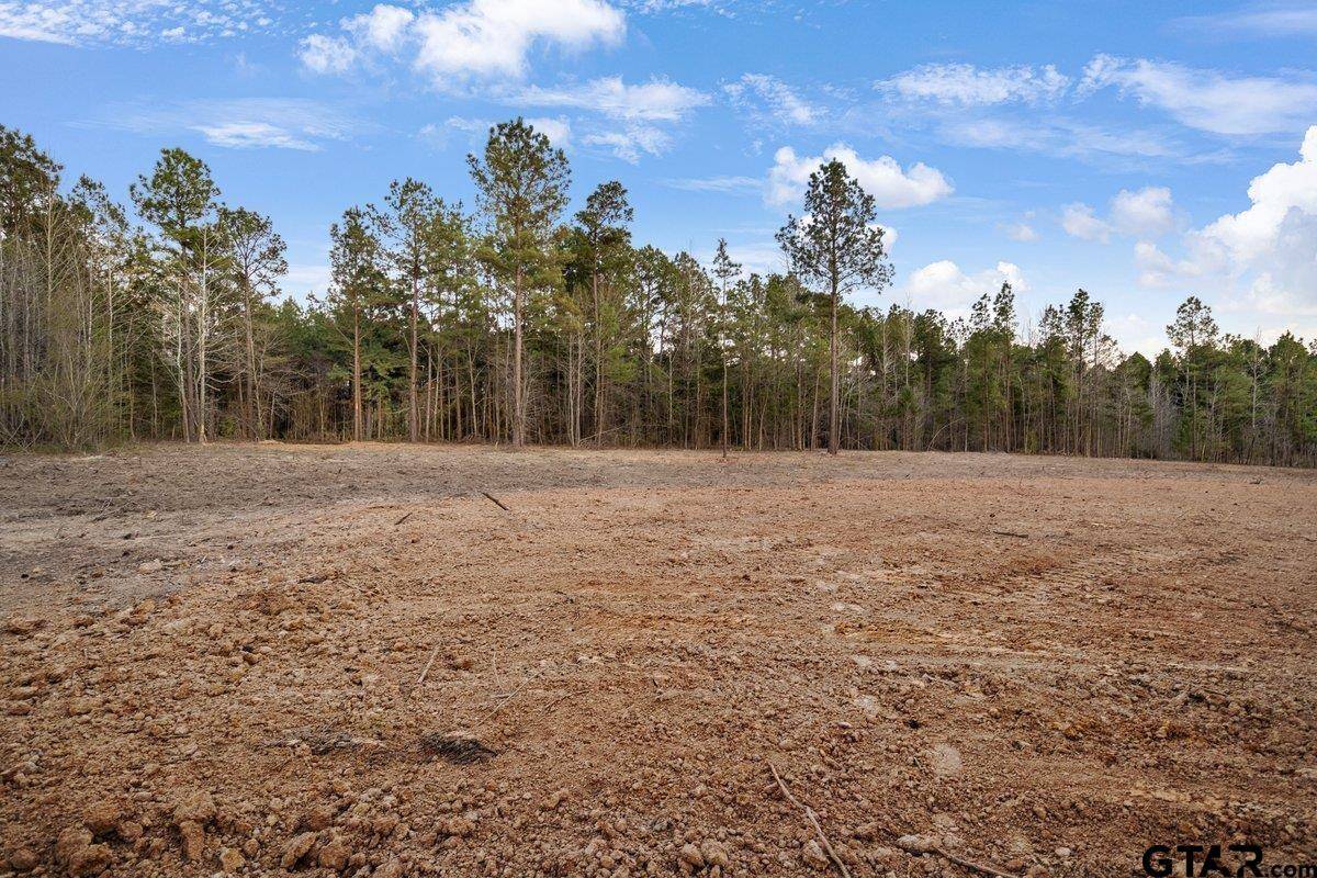 Troup, TX 75789,19140 County Road 2154 Lot 5