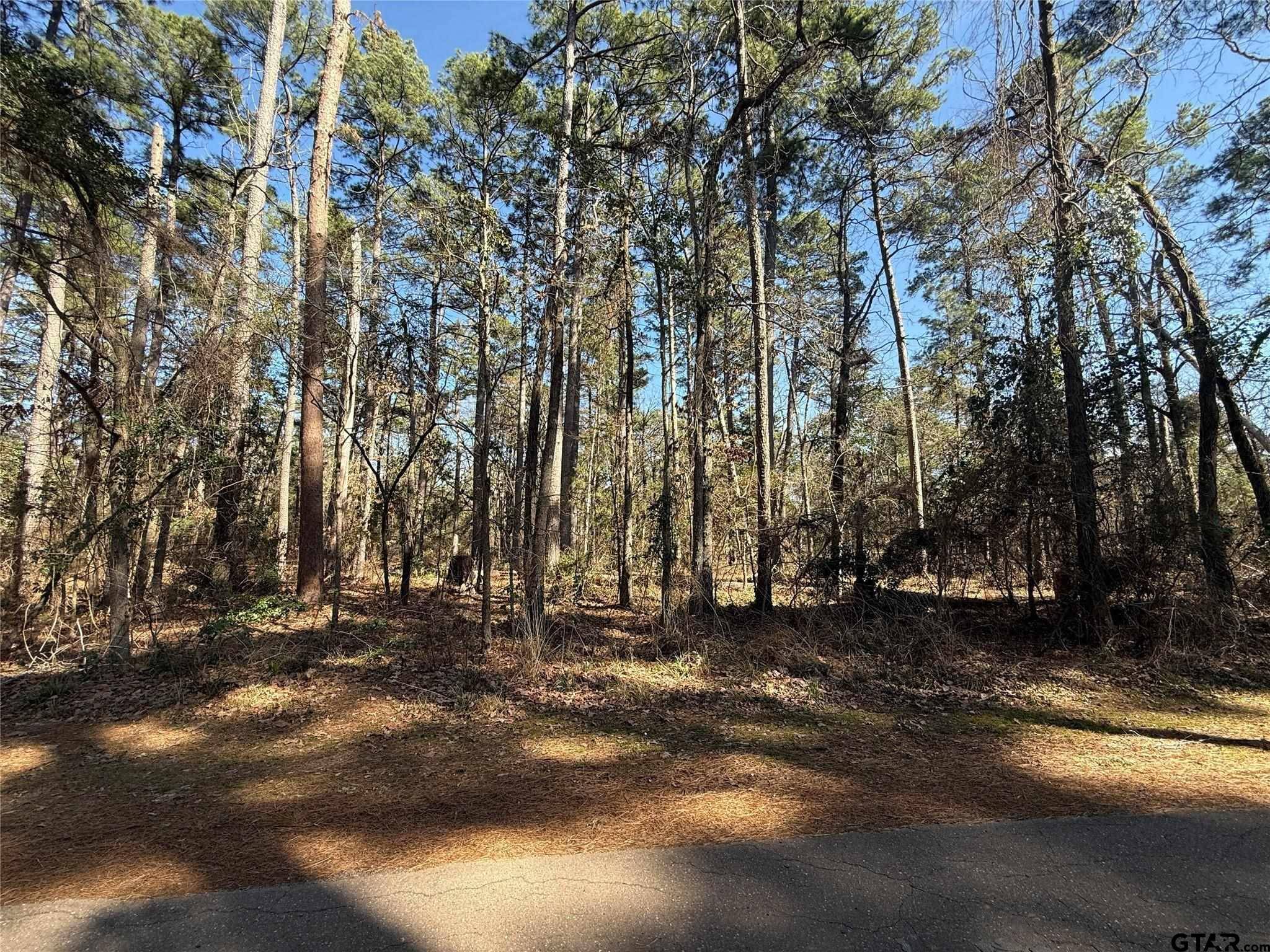 Winnsboro, TX 75494,Lot 3 Private Road 8573