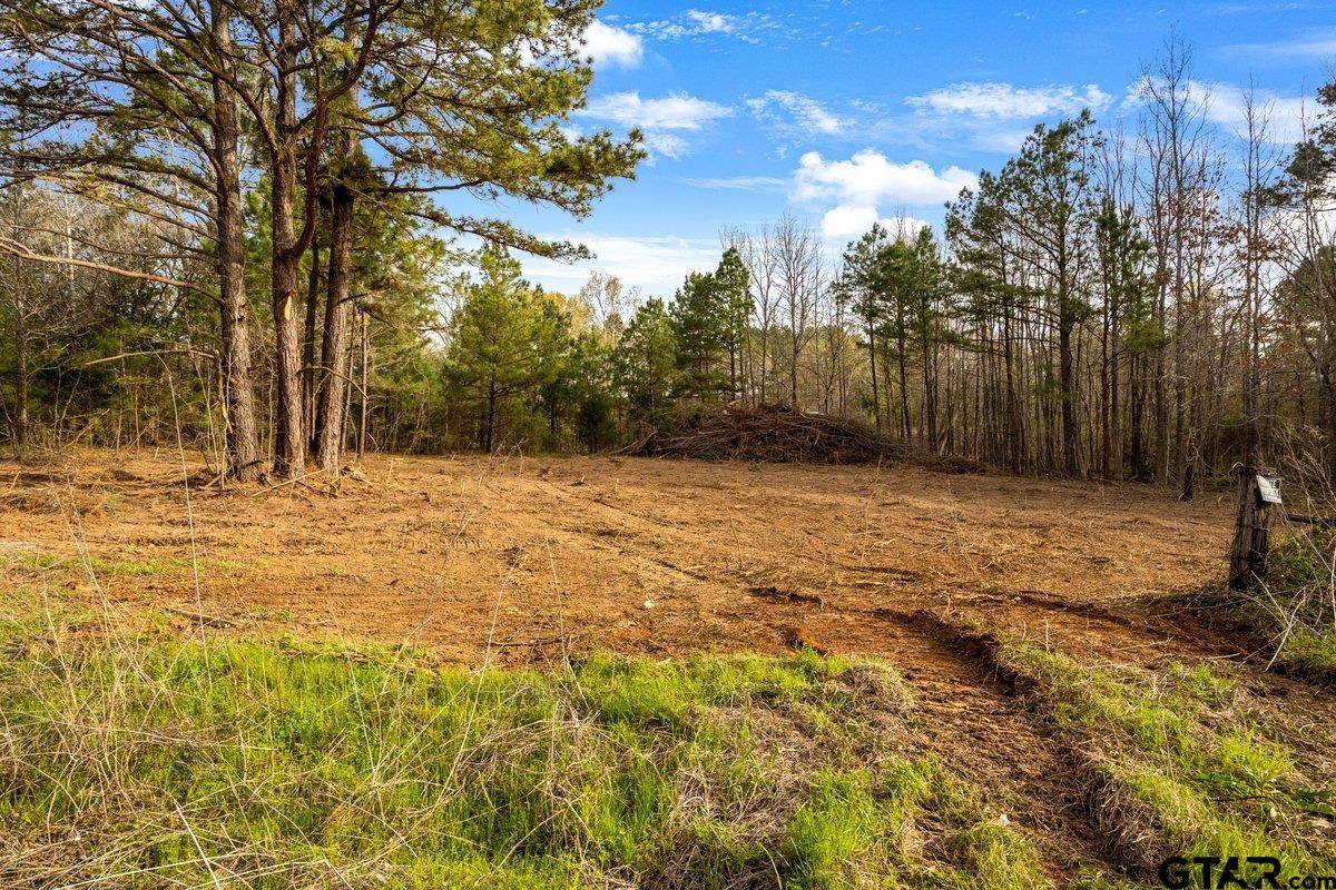 Troup, TX 75789,19353 County Road 2153 Lot 1