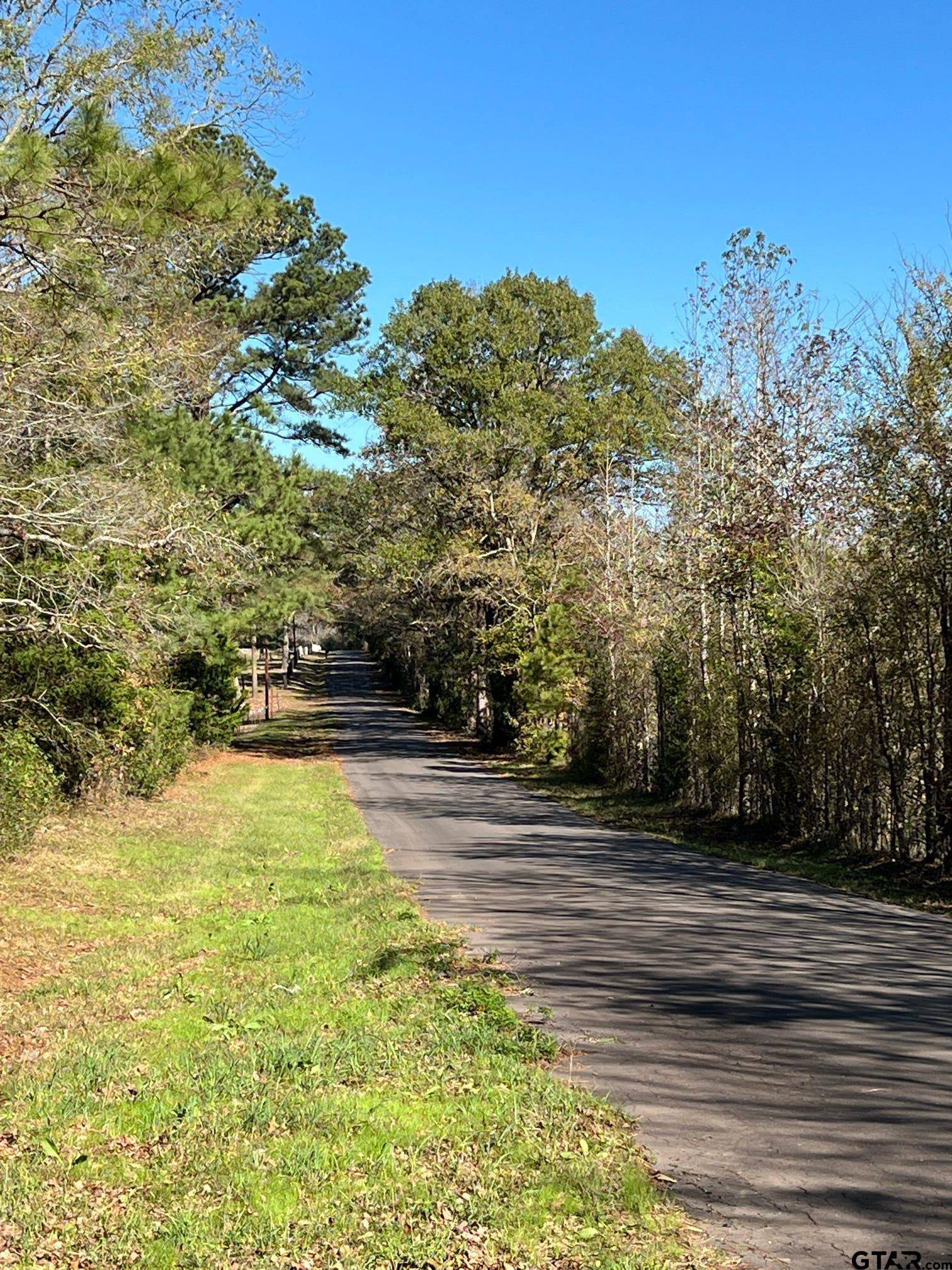 Mineola, TX 75773,TBD CR 2798