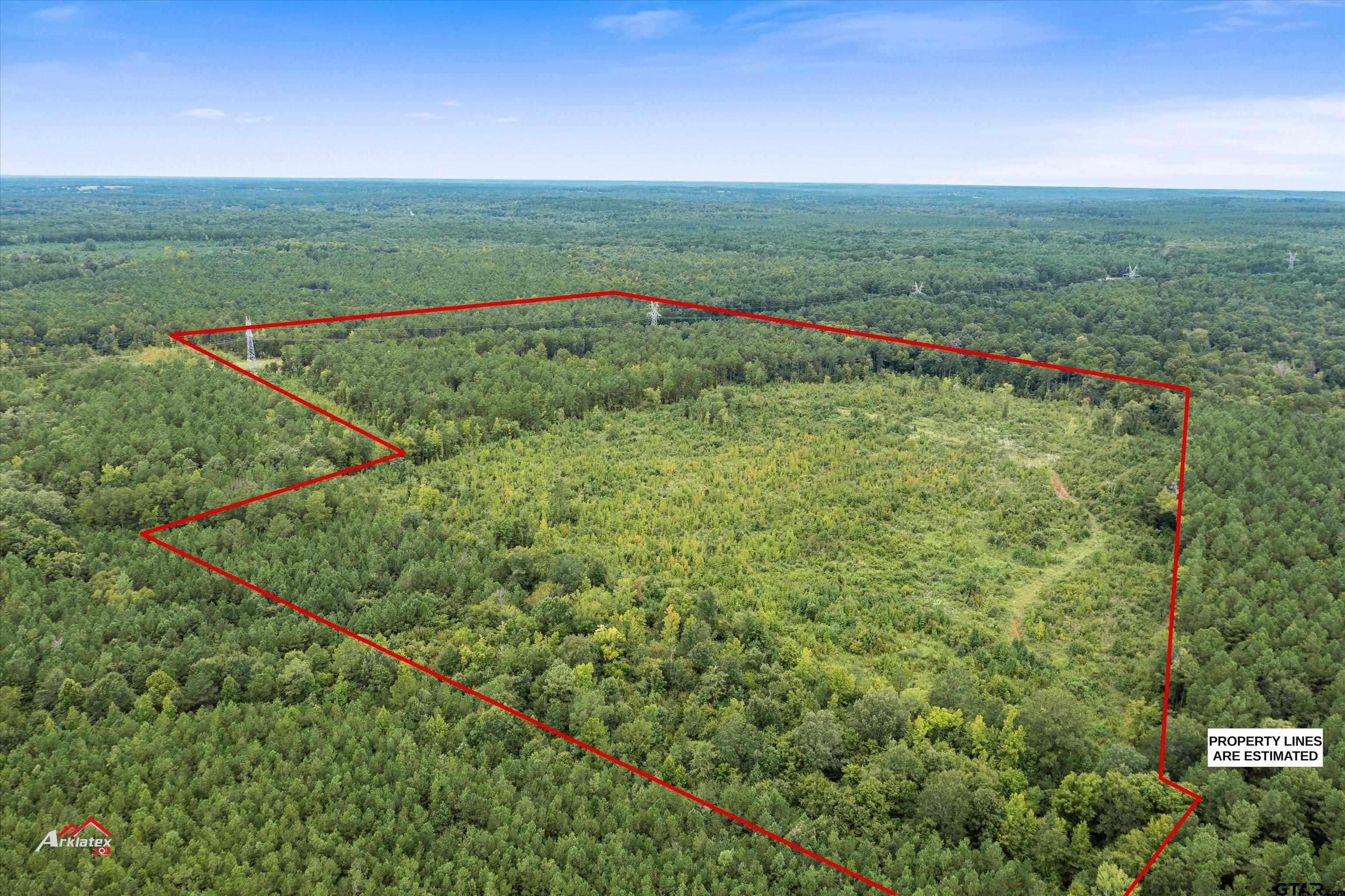 Mt Enterprise, TX 75681,TBD FM 95 (69+/- Acres)