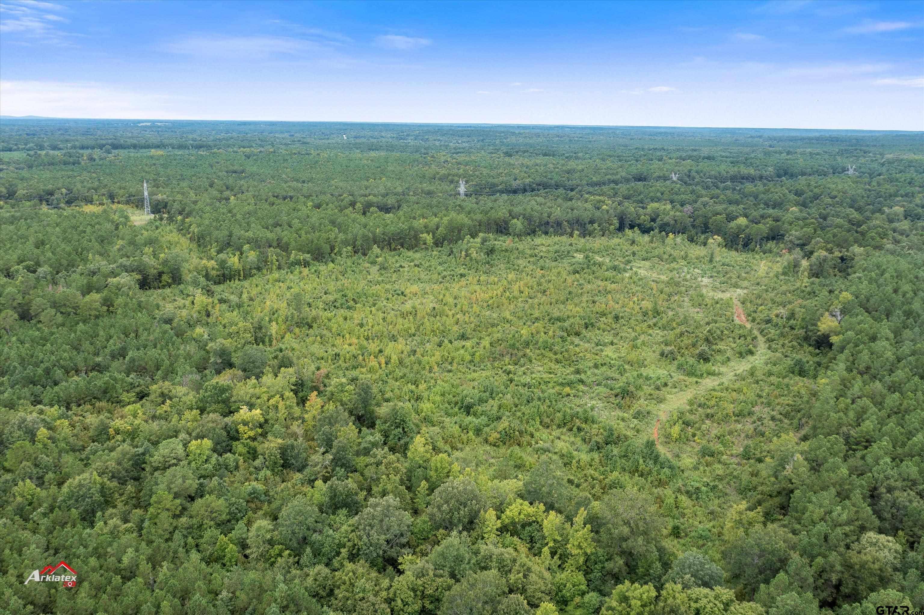 Mt Enterprise, TX 75681,TBD FM 95 (69+/- Acres)