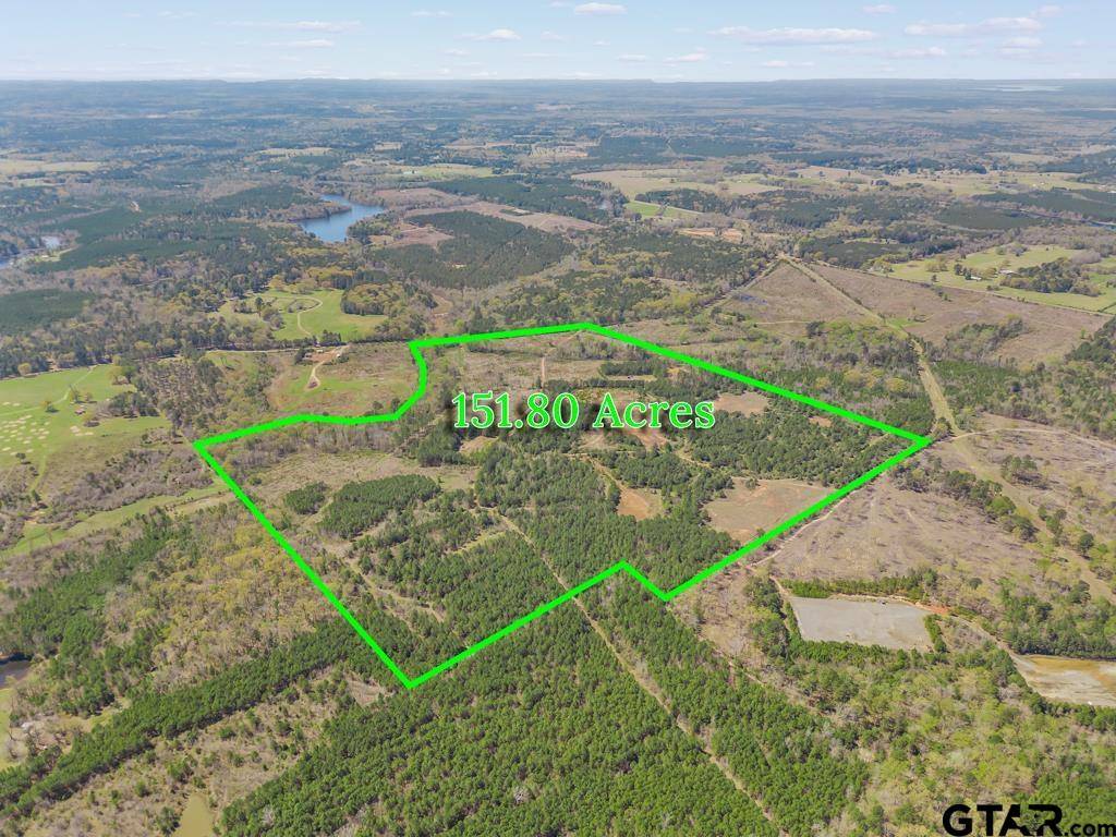 Karnack, TX 75661,TBD Owens Corner Road