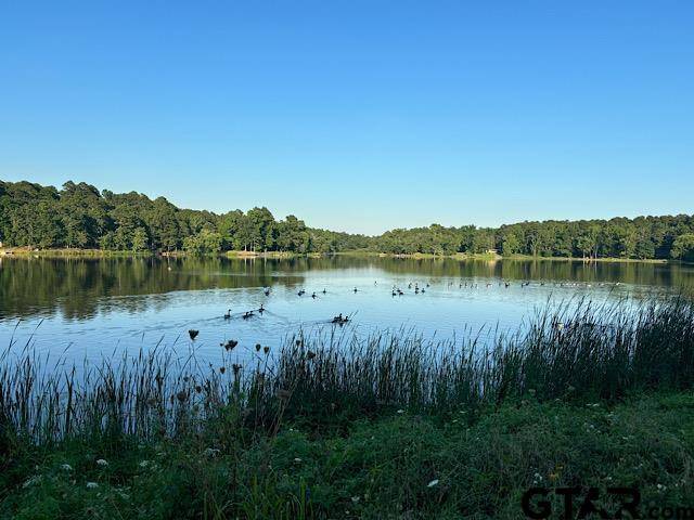 Winnsboro, TX 75494,214 Private Road 8693