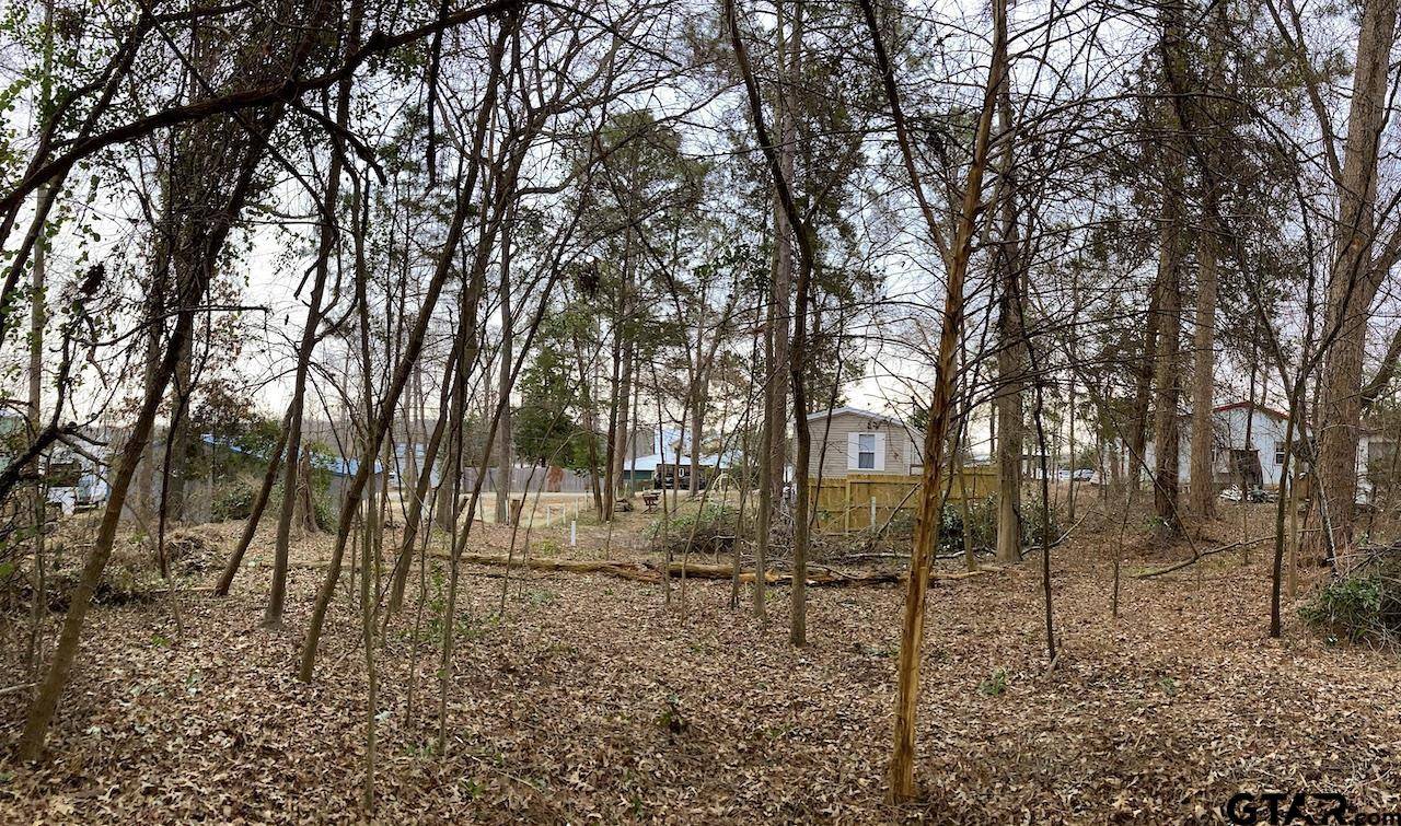 Murchison, TX 75778,262 E Walnut Trail
