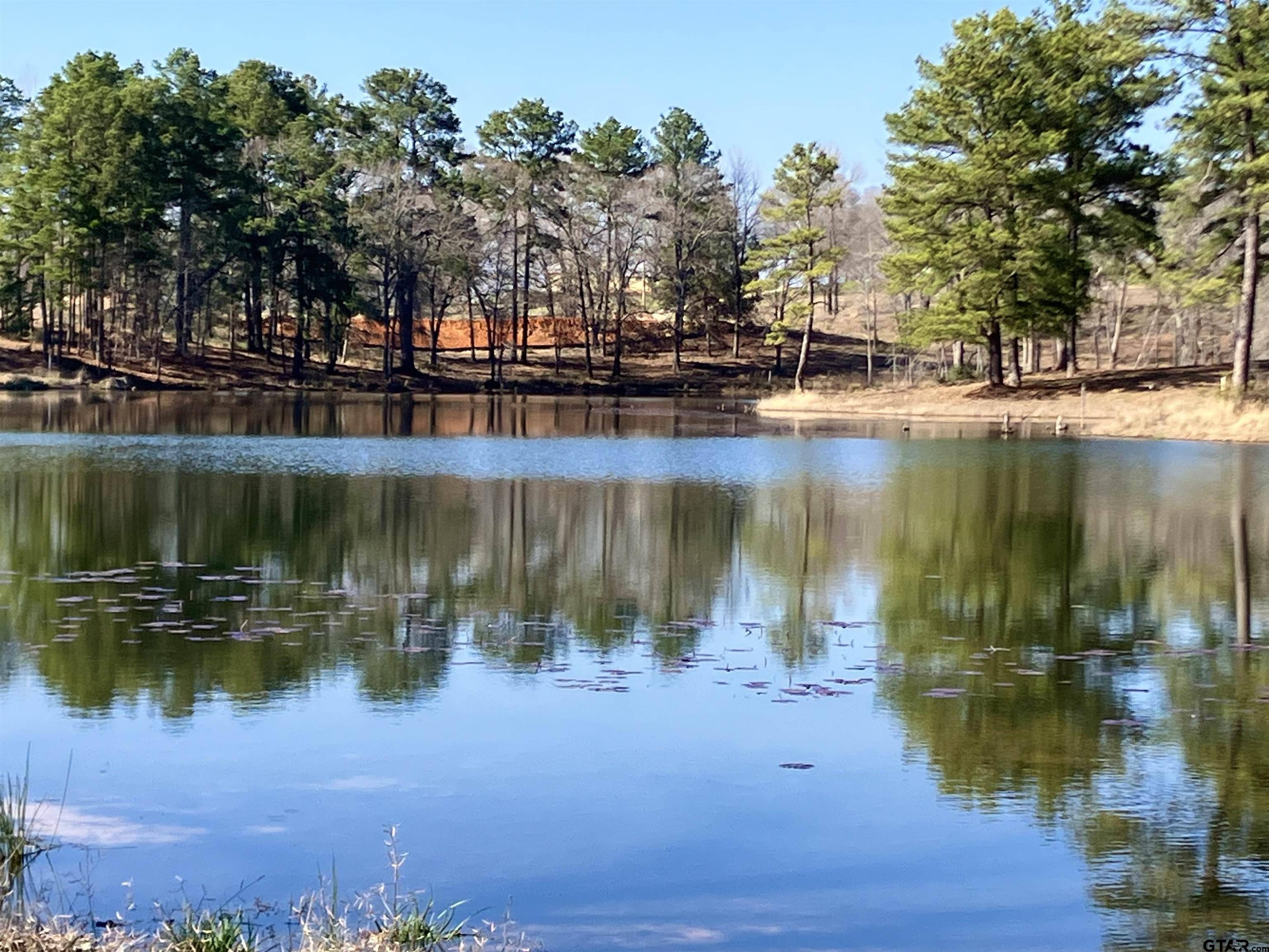 Big Sandy, TX 75755,Lot 64 White Oak Creek Ranch