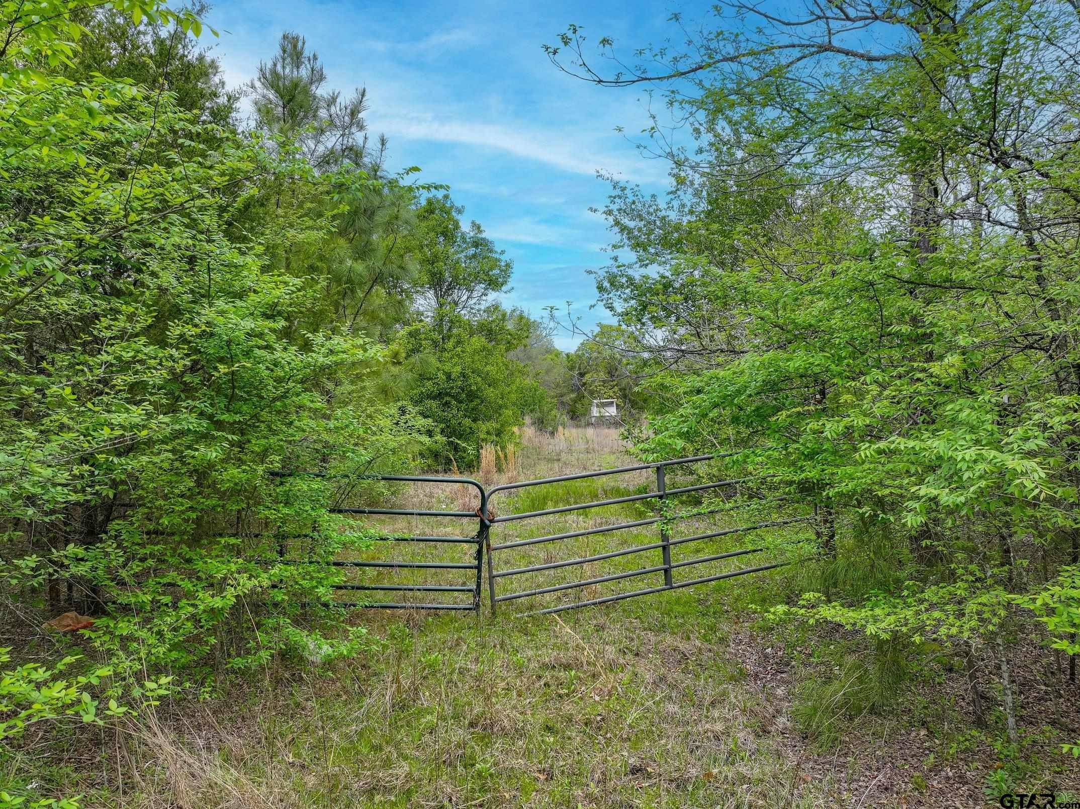 Chandler, TX 75758,TBD County Road 3105
