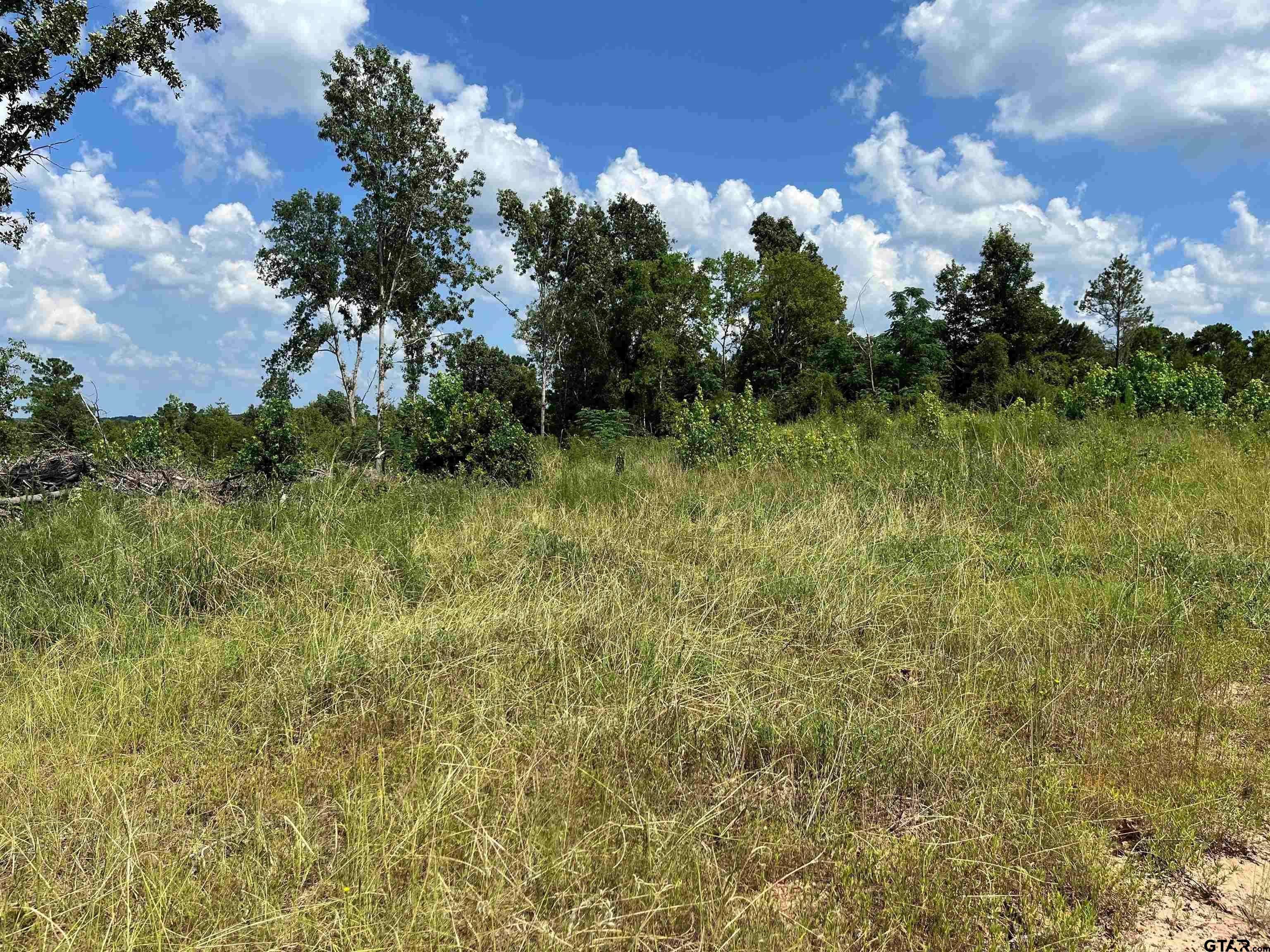 Henderson, TX 75652,TBD 14.28 ac CR 343