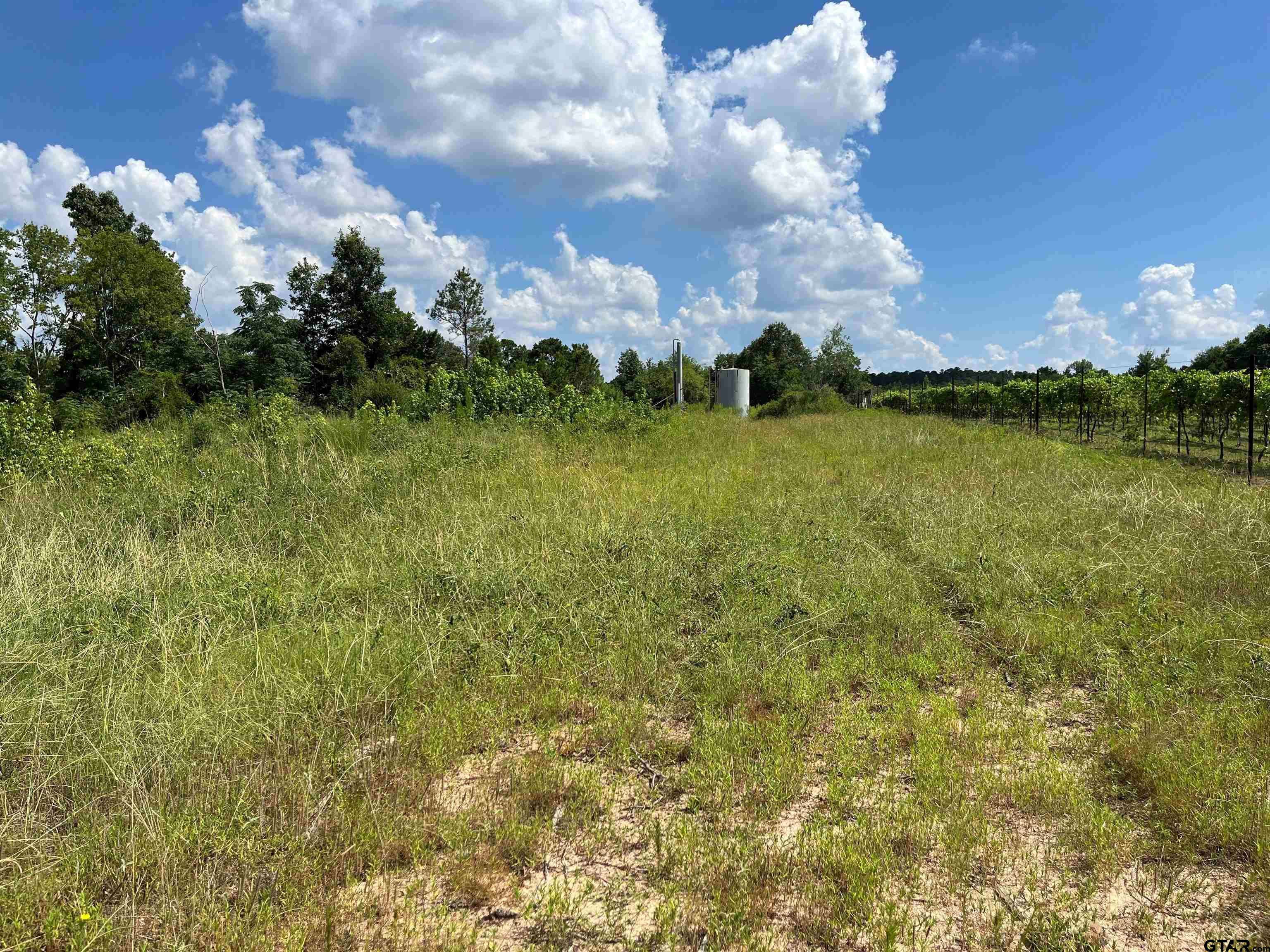 Henderson, TX 75652,TBD 14.28 ac CR 343