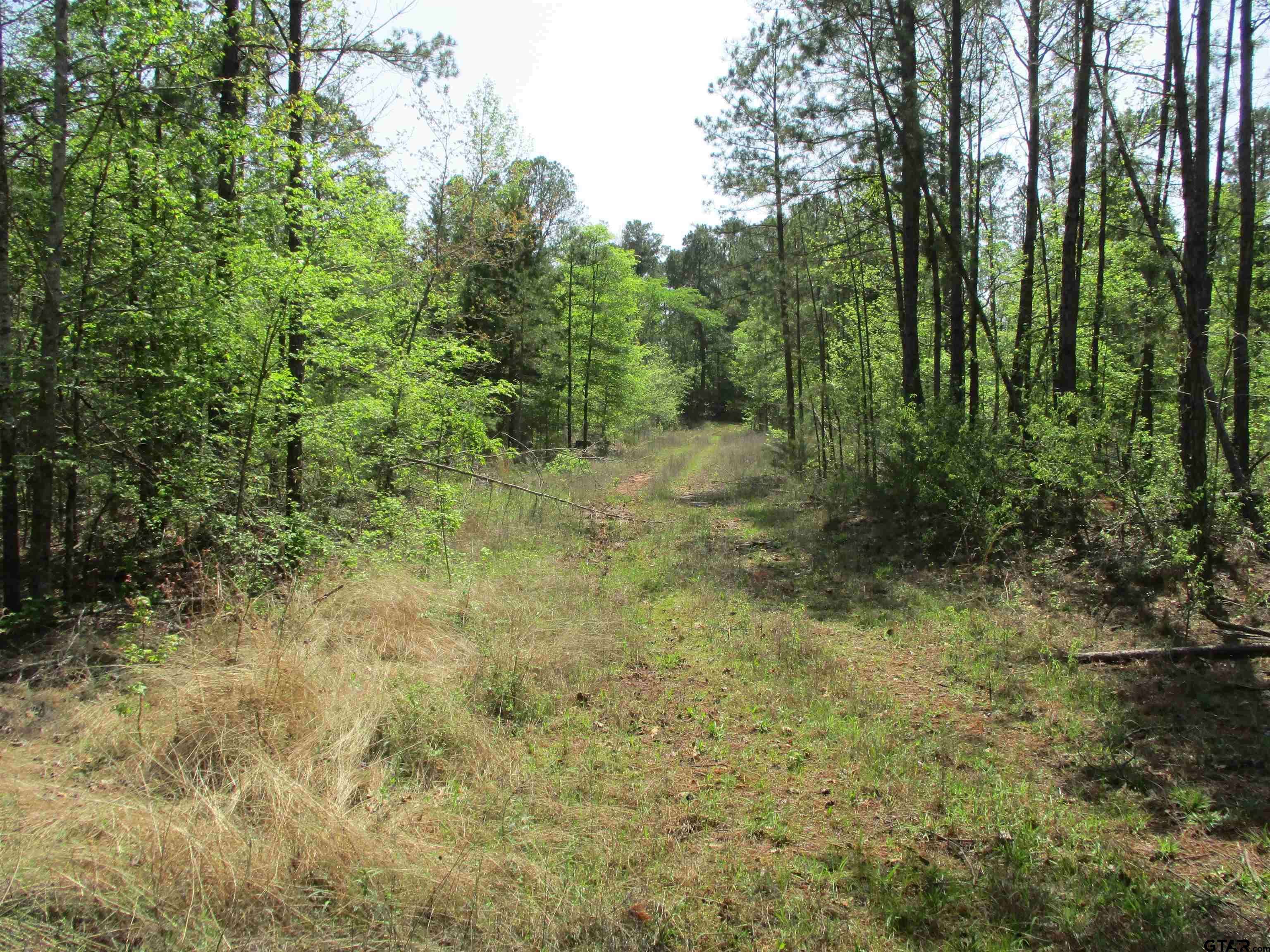 Laneville, TX 75667,0000 S CR 461