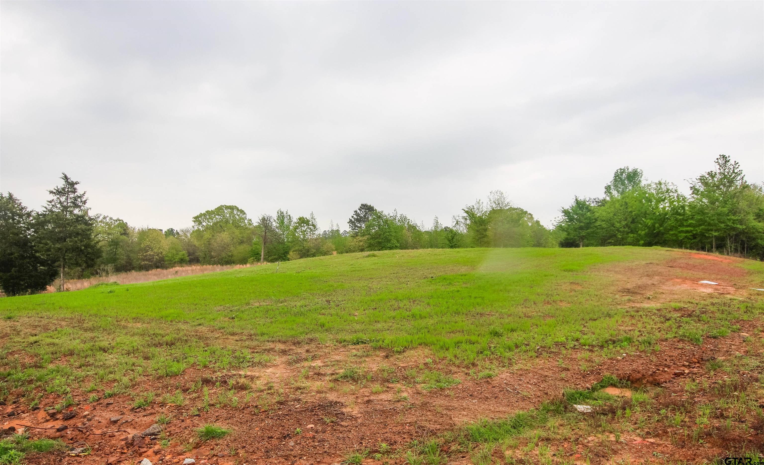 Winona, TX 75792,TBD (Lot 35) Creek Bottom Ct