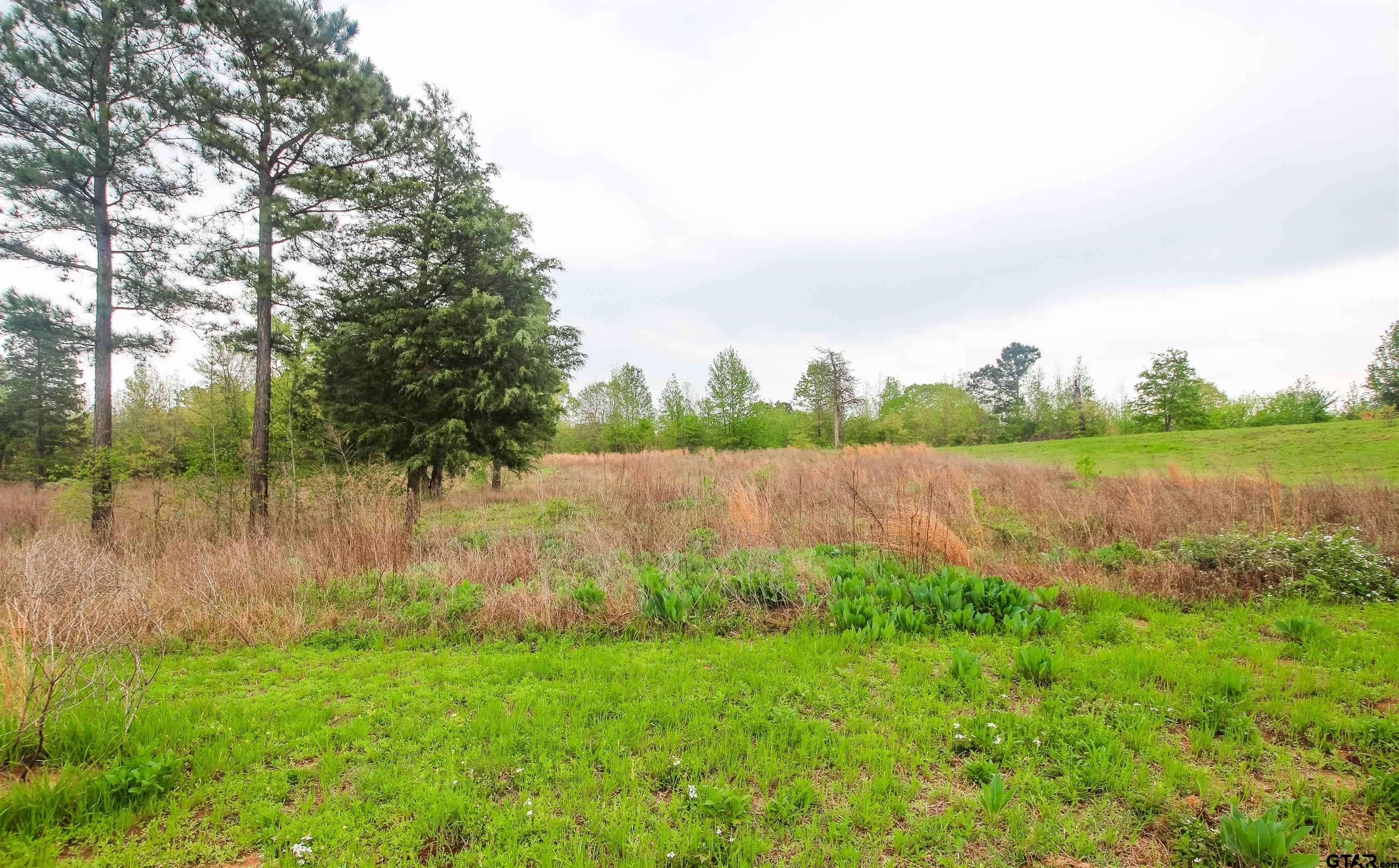 Winona, TX 75792,TBD (Lot 36) Ridgeline Loop