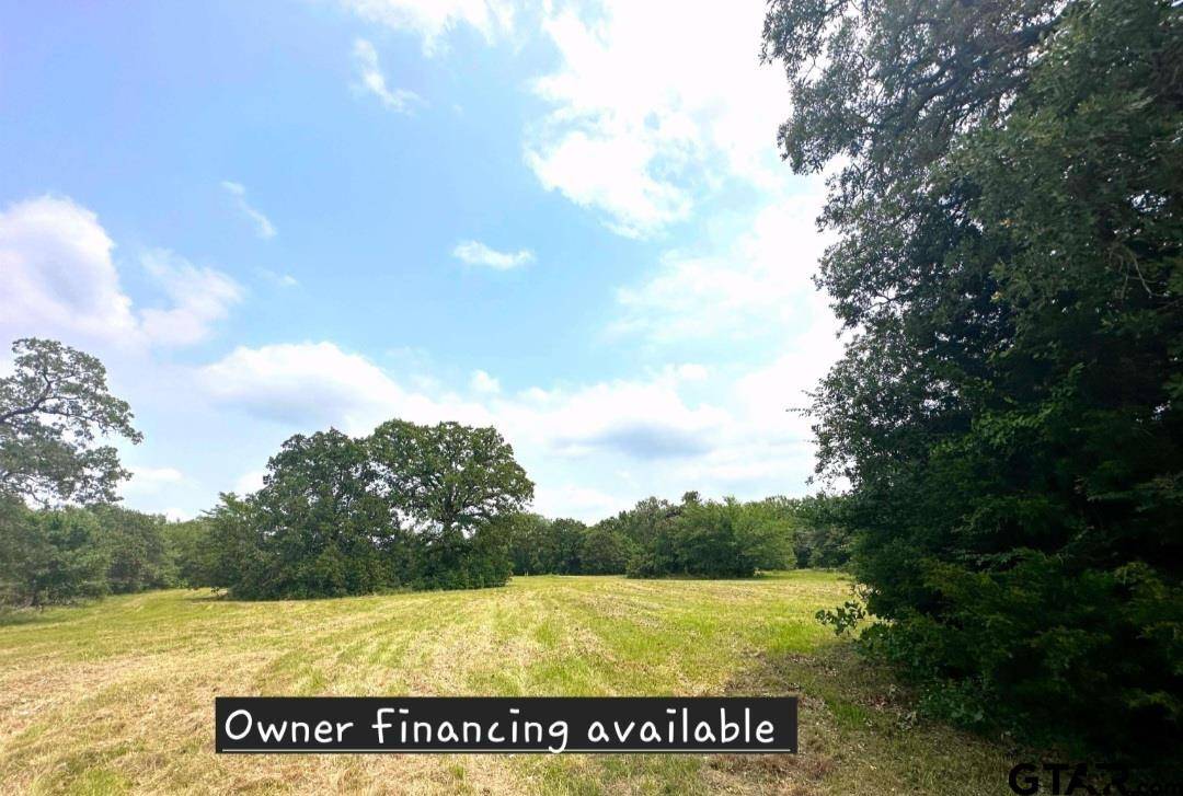 Athens, TX 75751,TBD CR 1404 Lot 18