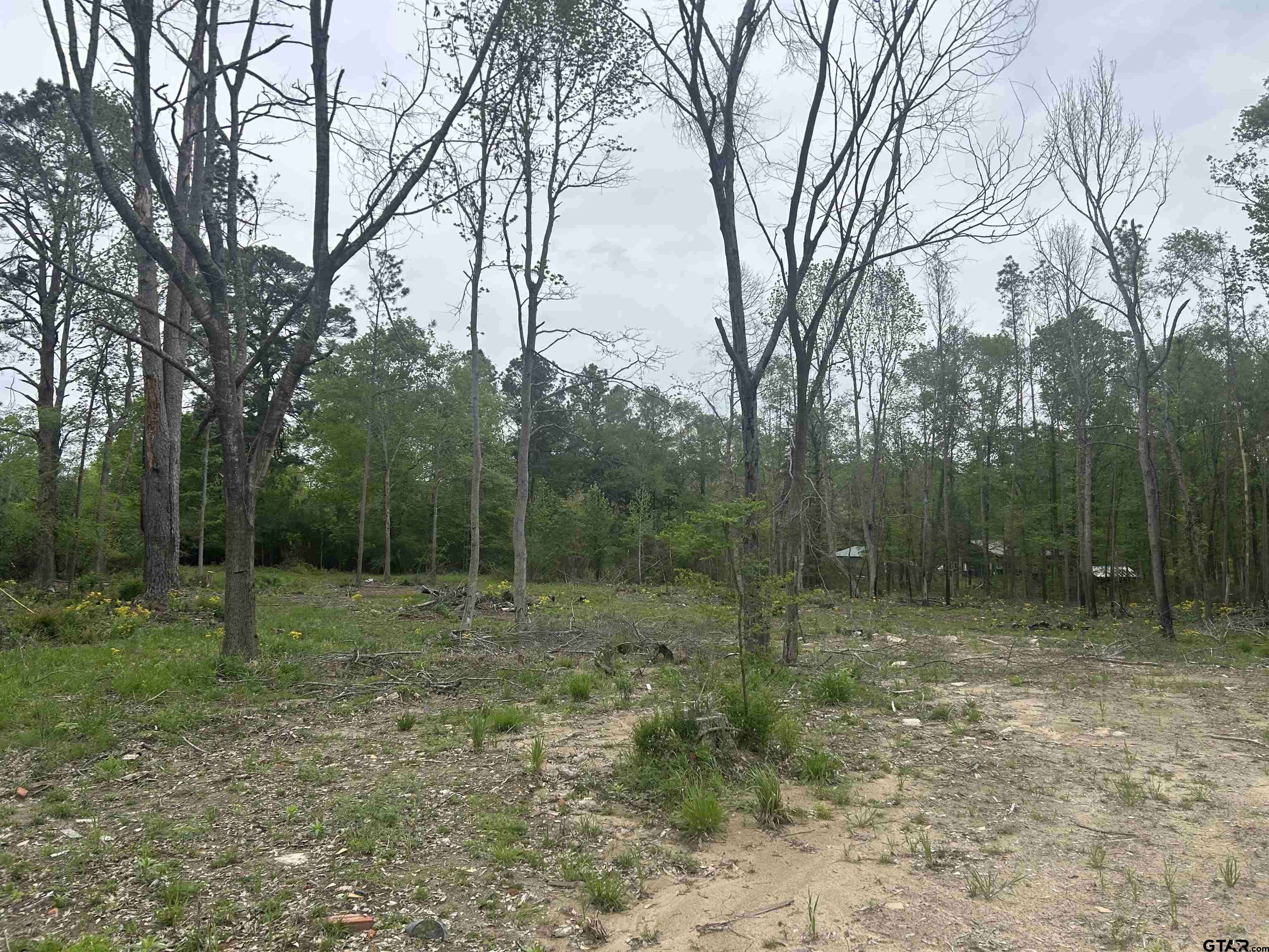 Overton, TX 75684,513 State Highway 323 E