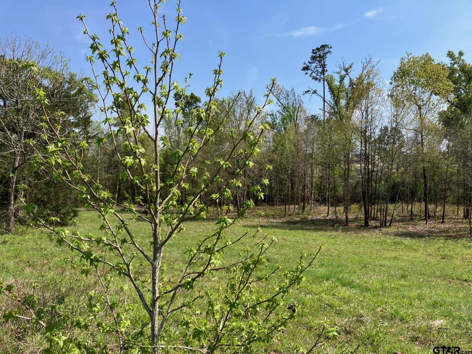 Winona, TX 75792,16730 Ridgeline Loop