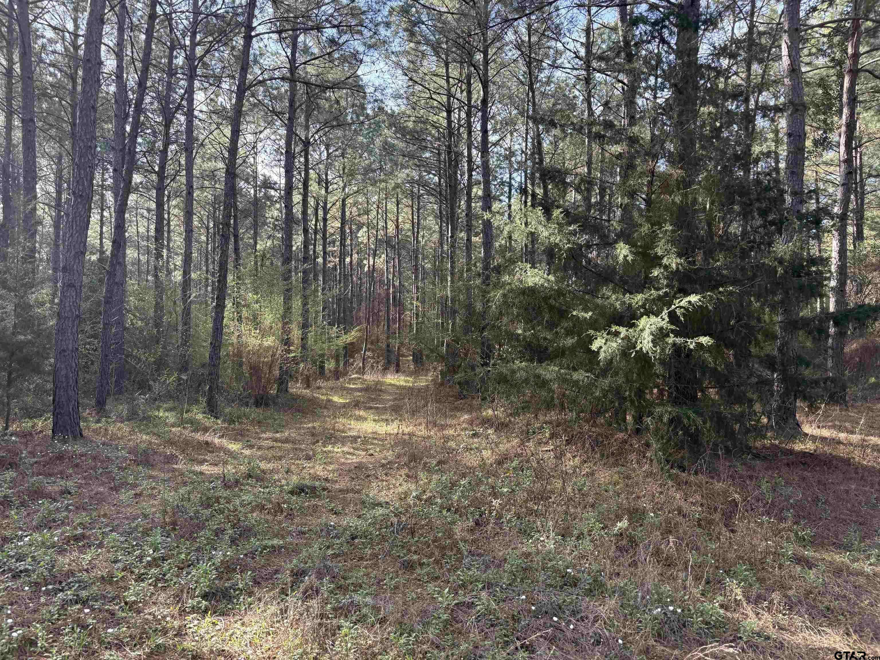 Troup, TX 75789,TBD 17 ACRES FM 2274