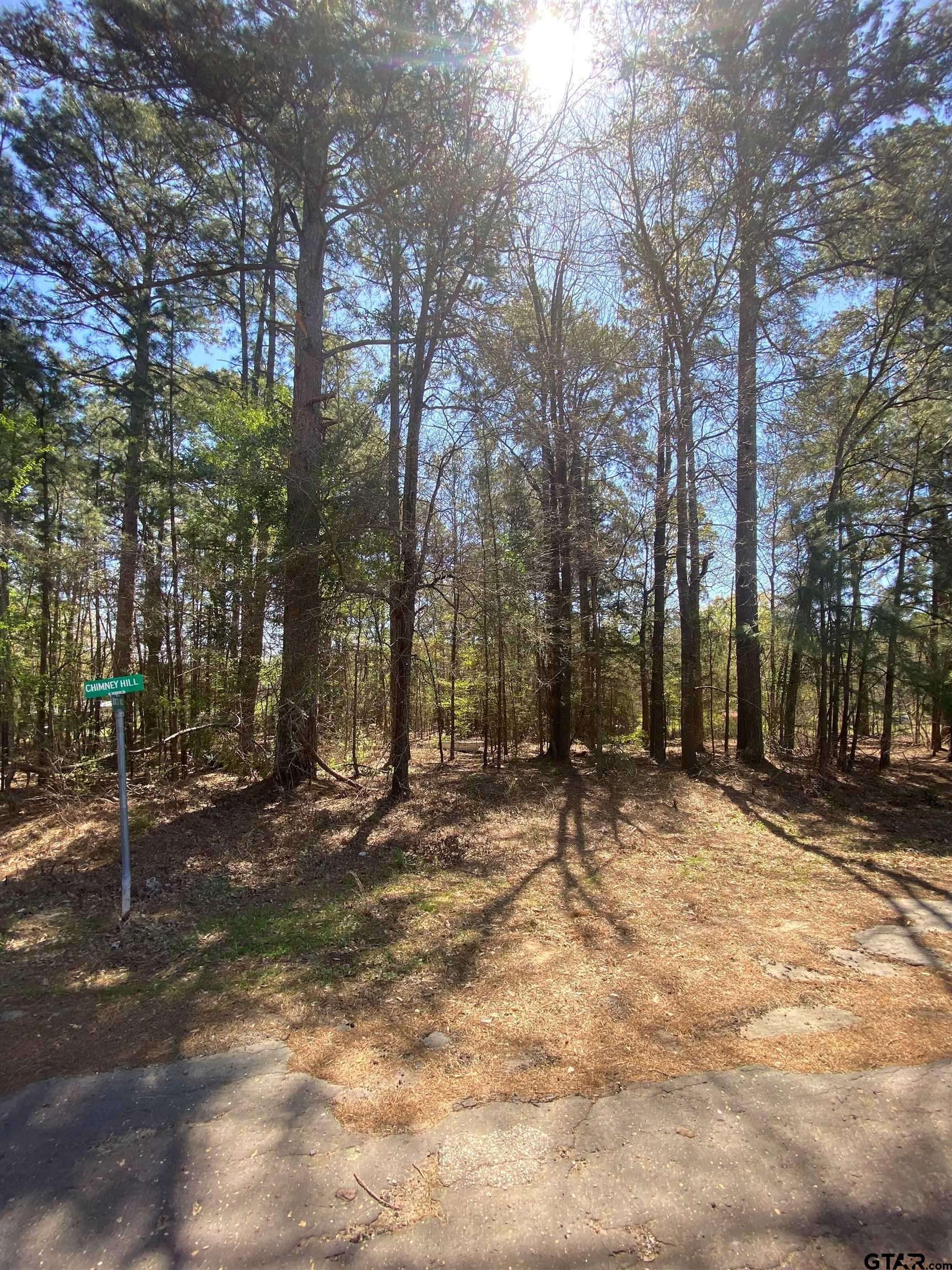 Diana, TX 75640,TBD Lot 51 Bois D' Arc