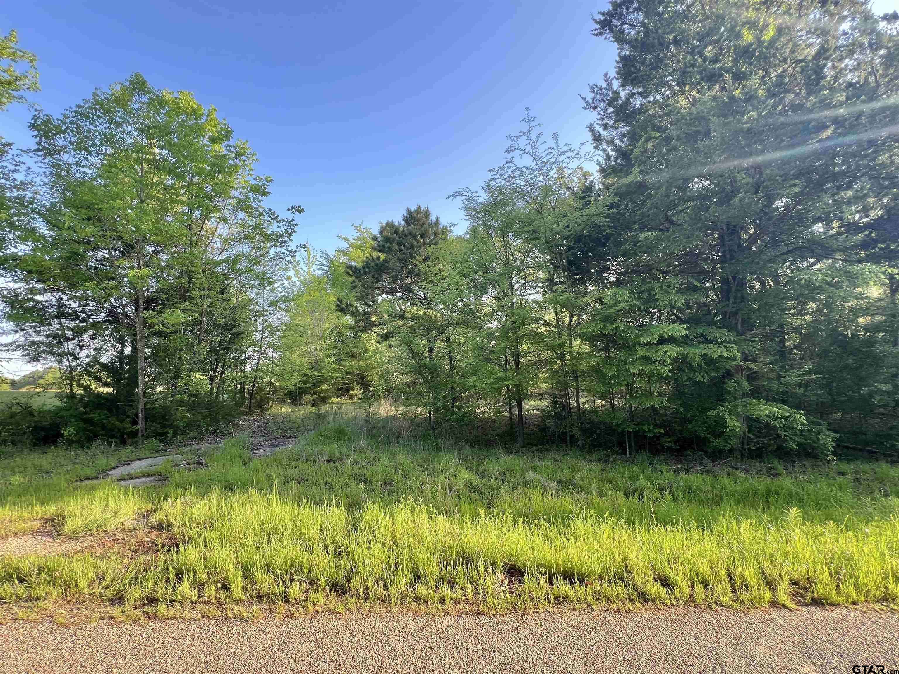 Mt Pleasant, TX 75455,TBD CR 1755